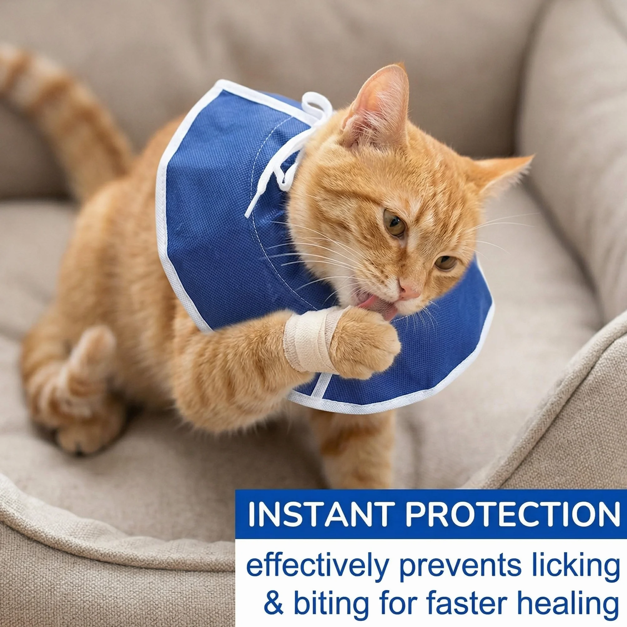 Collerette Anti Léchage Chat Chien, Collier Protection Réglable Tissu Non Tissé Bleu Taille M