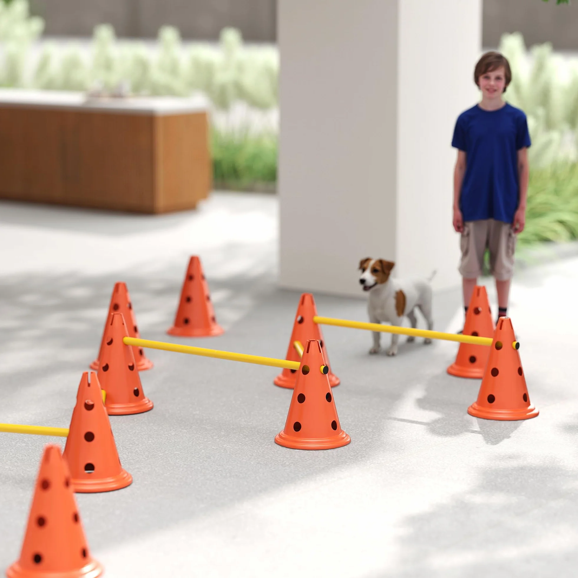 PawHut Ensemble d'Agilité pour Chien 6 Pièces avec Hauteur Réglable, Orange