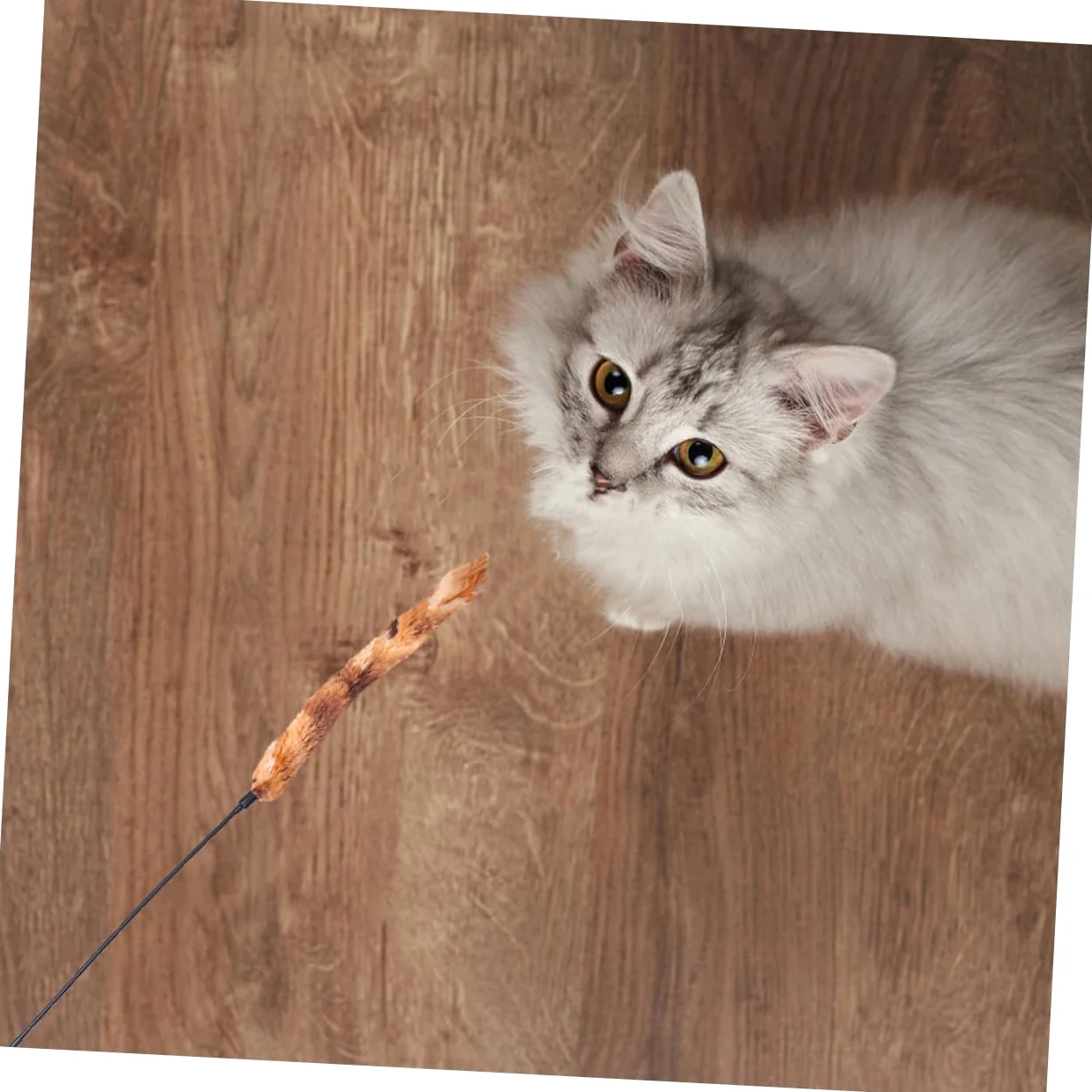 Ipetboom 15pièces Jouet Peluche pour Chat avec Rayé Et Plumes Accessoire Amusant pour Chats Renforcez Le Lien avec Votre Animal