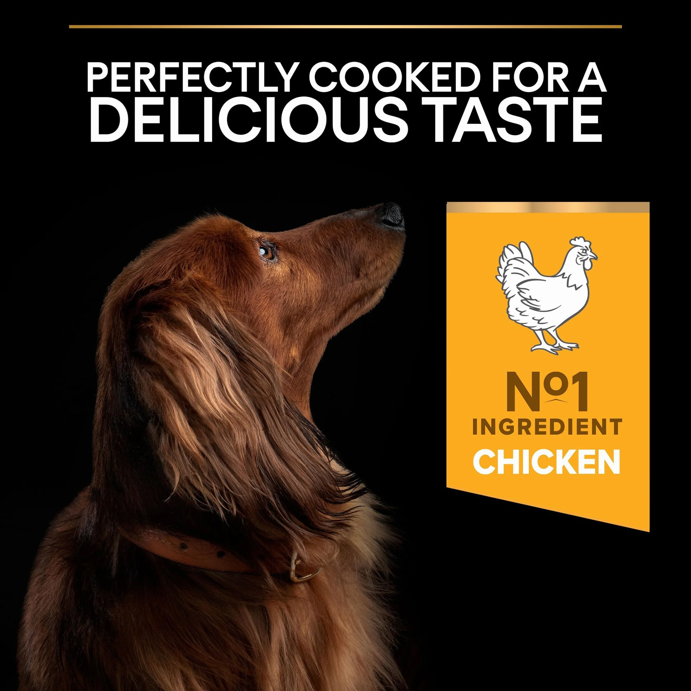 PURINA PRO PLAN Small & Mini Adult Everyday Nutrition Croquettes Chien Adulte Riche en Poulet 3kg
