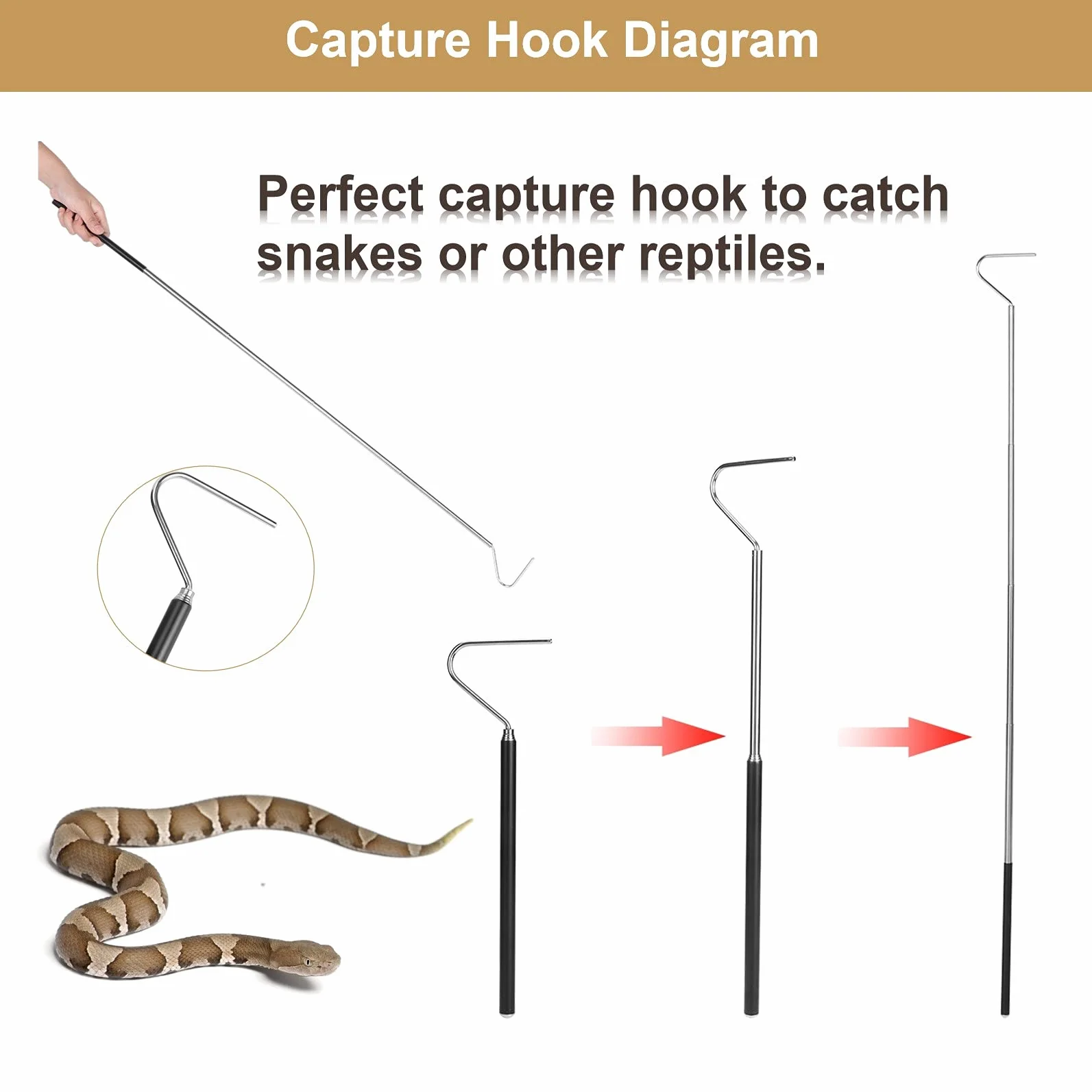 Crochet de Serpent Télescopique en Acier Inoxydable 100cm pour Reptiles