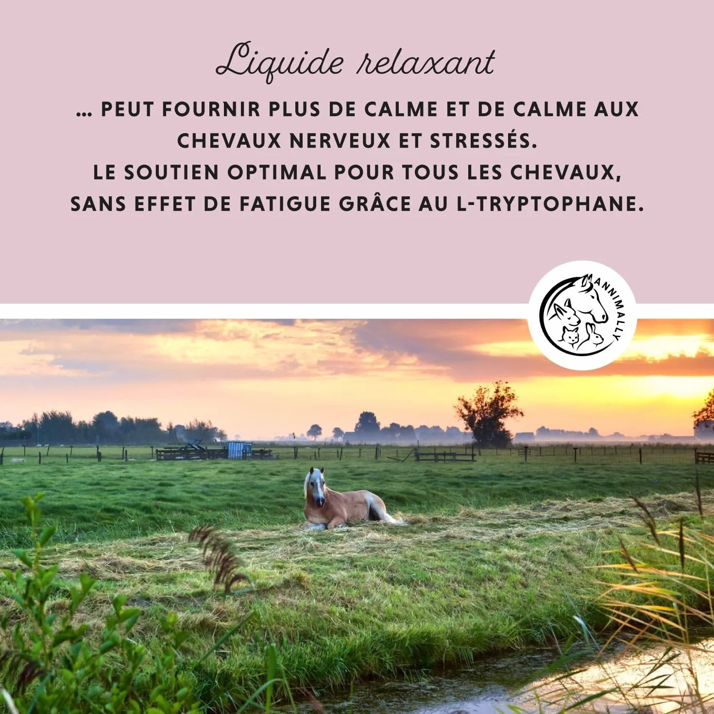 Relax Liquid pour Chevaux 1000ml Sirop Apaisant avec Valériane, Houblon, Tryptophane, B12, Magnésium et Calcium Liquide