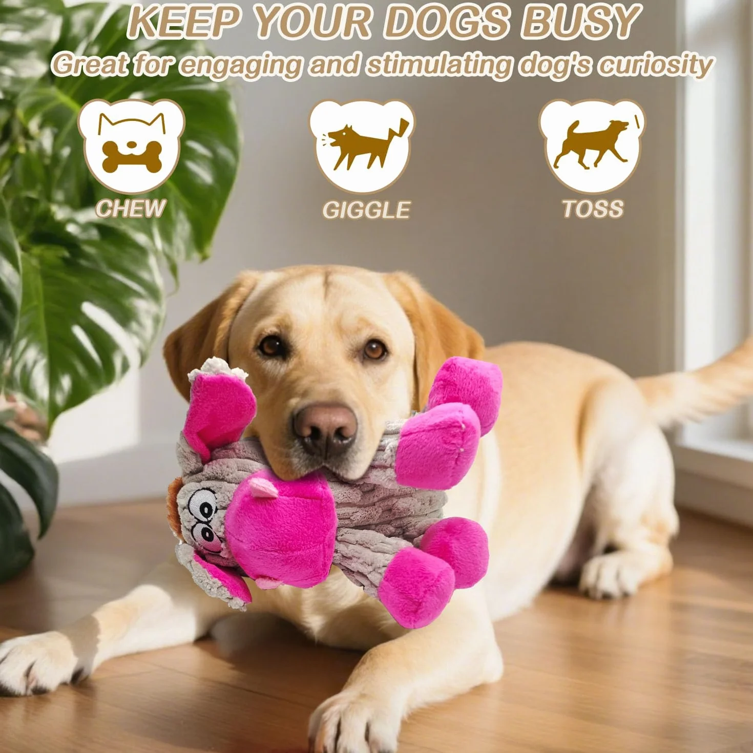 Peluche pour Chien, Jouet à Couinement avec Squeaker, Doudou pour Petit et Moyen Chien, Cadeau Chien