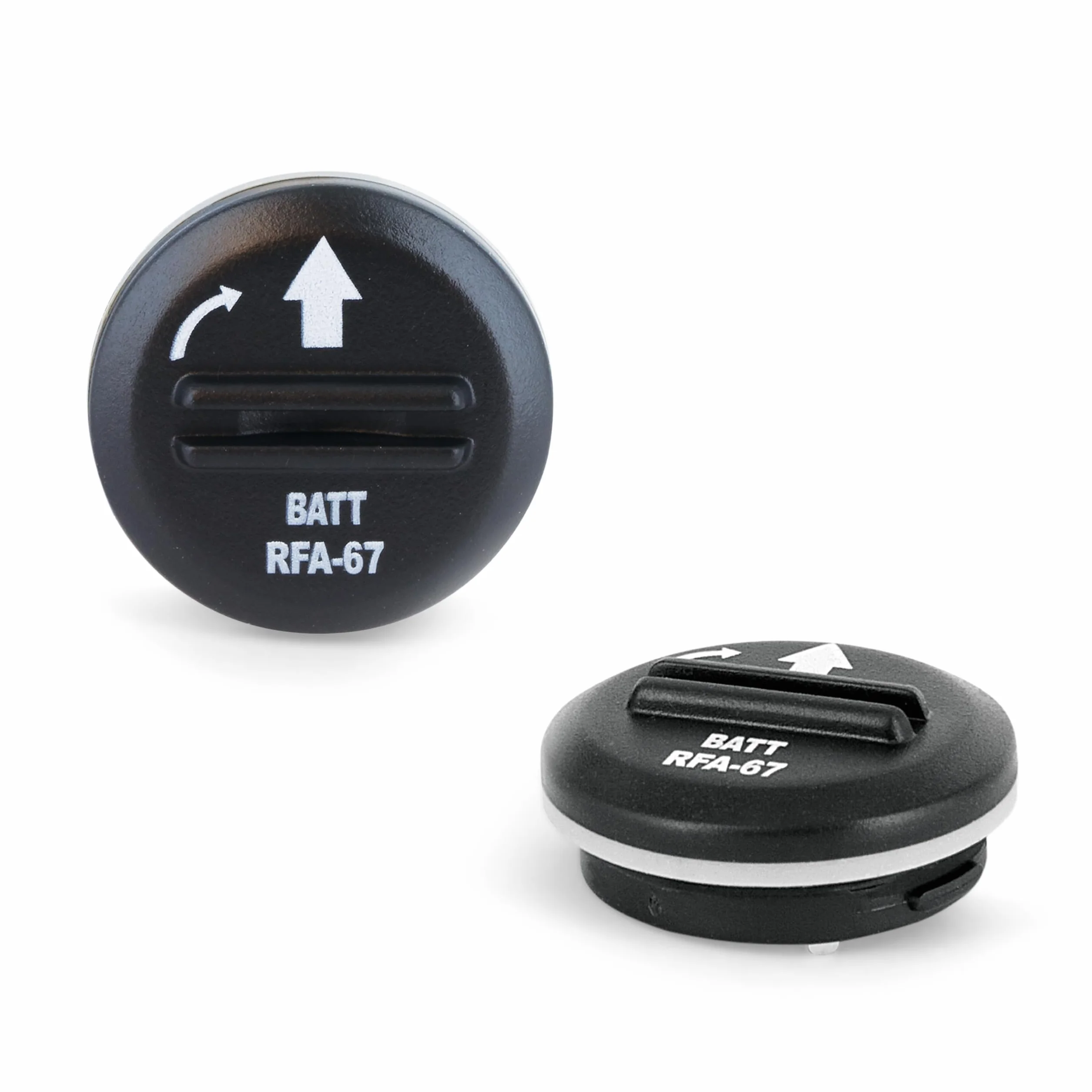 PetSafe Batterie de Remplacement RFA-67 6V par 2 Piles Lithium Étanches