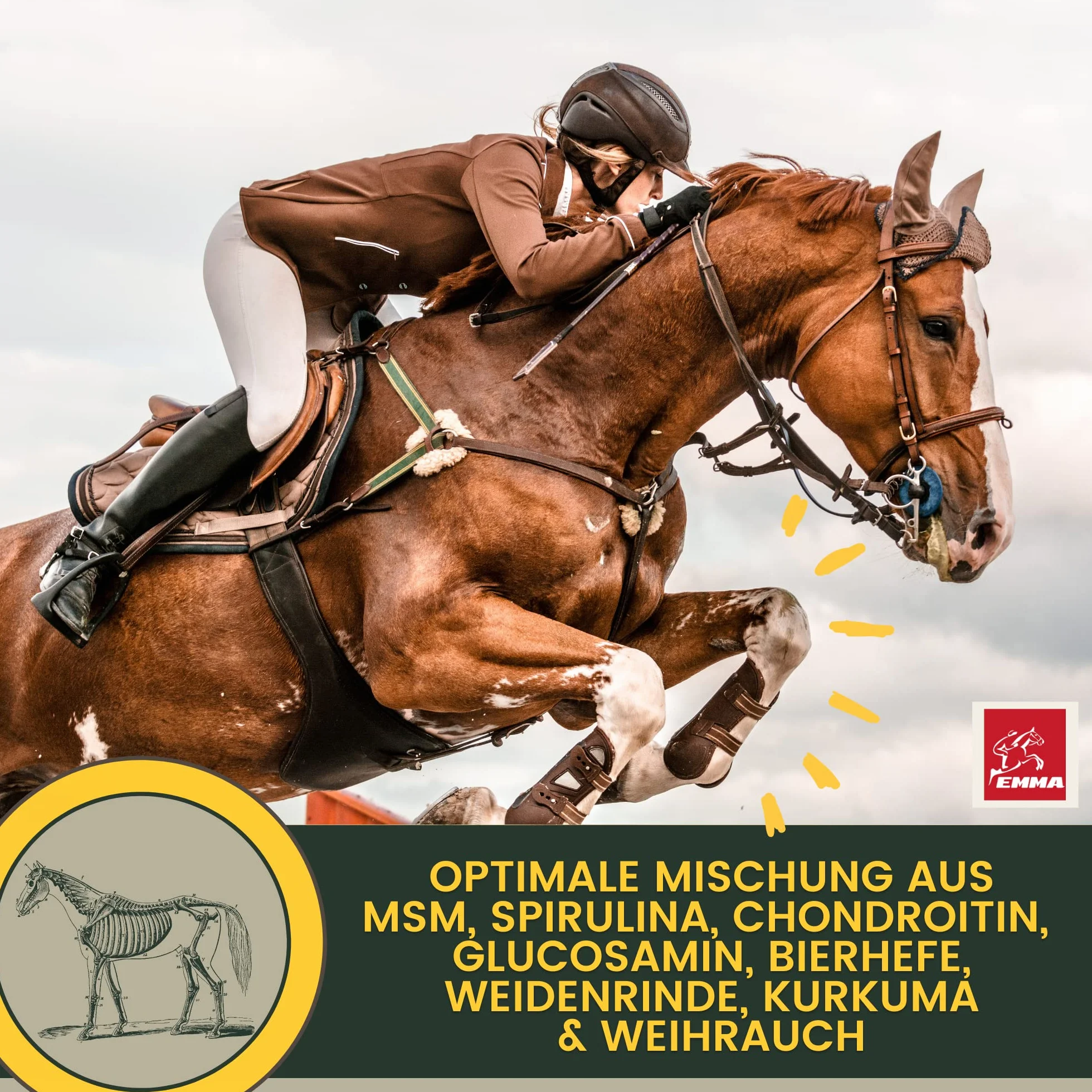 Pâte vitaminée cheval glucosamine chondroïtine haute dose appareil locomoteur articulations tendons ligaments