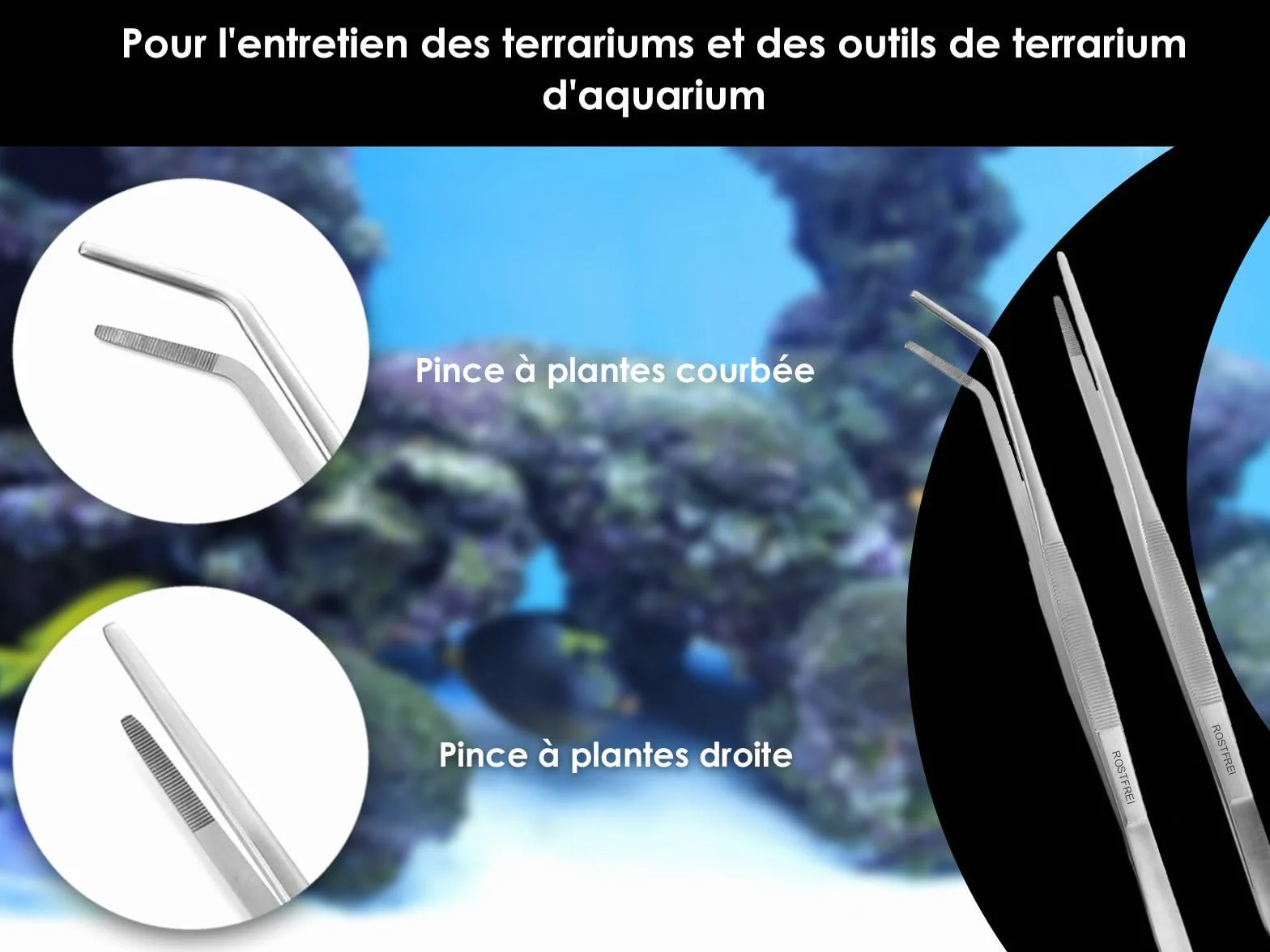 Kit complet pour aquarium-terrarium en acier inoxydable - Pinces, ciseaux, spatule à gravier
