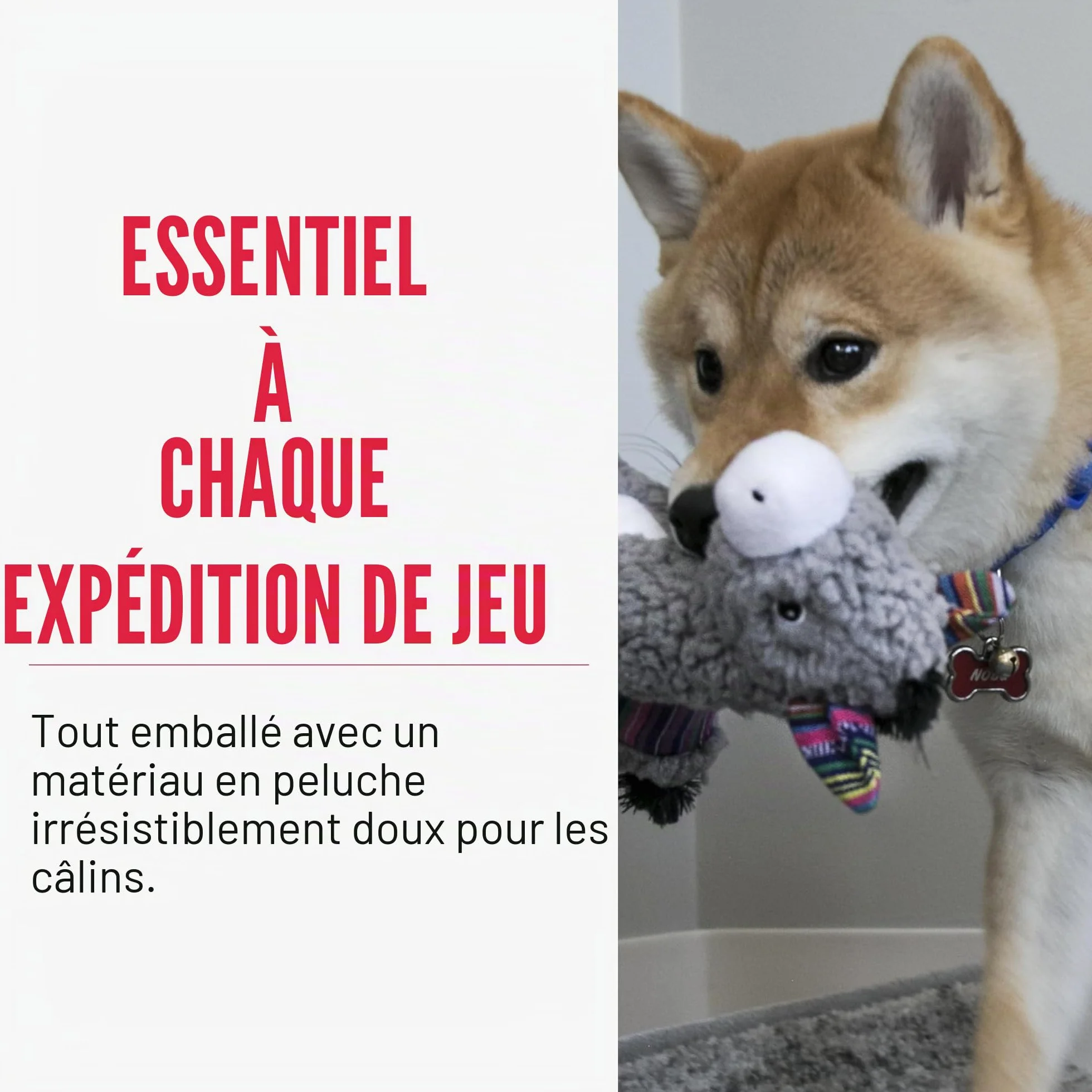 KONG Sherps Donkey Jouet pour Chien Taille M