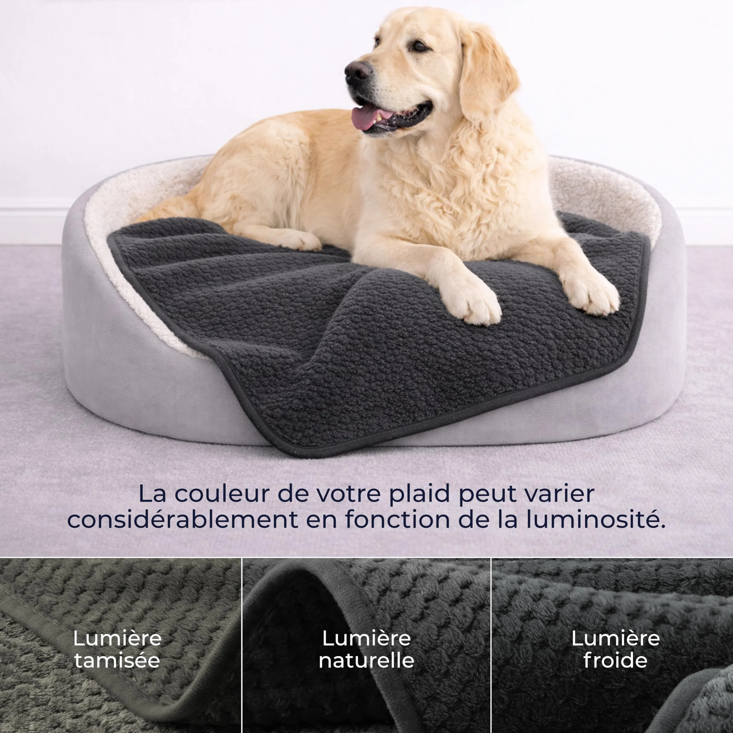 Dreamzie Couverture Chien Imperméable 100x120cm Polaire Réversible Lavable en Machine Gris foncé