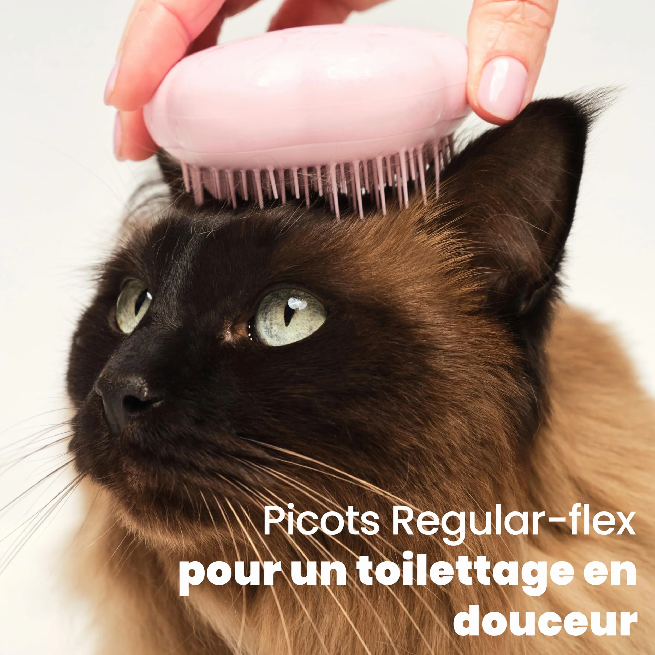 Tangle Teezer Brosse de Toilettage pour Chat à Poils Courts à Moyens, Rose