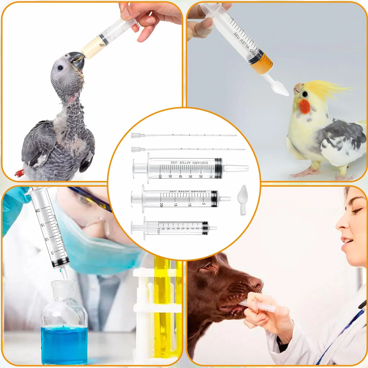 Sonde d'alimentation pour oiseaux seringue 10ML 20ML 60ML