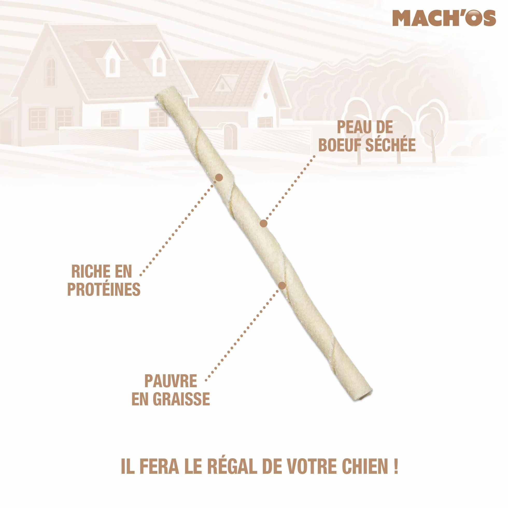 RIGA - Mach'os - Bâtonnet Torsadé Blanc - Friandise Chien - A La Menthe - Peau De Buffle - Riche en Protéines - Hygiène Buccale - Mastication Et Récompense - pour Moyen Chien - x 10