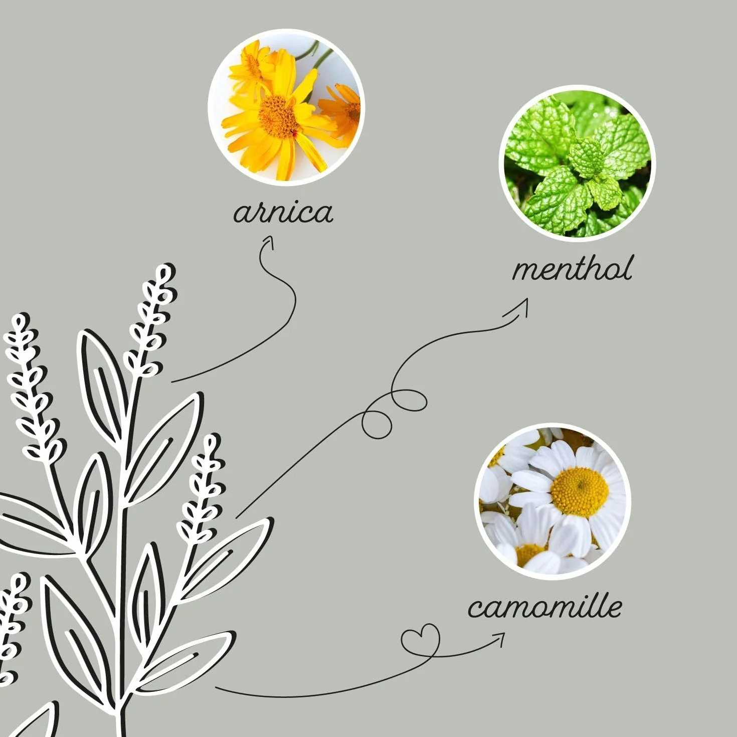 Argile pour Chevaux 2 kg - Pâte d'argile avec extraits de Plantes pour détente et soulagement des Muscles