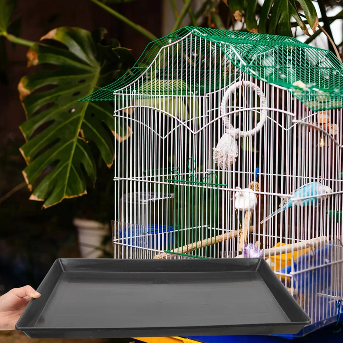 Plateaux en Plastique Noir Plateau de Remplacement pour Cage Lot de 2