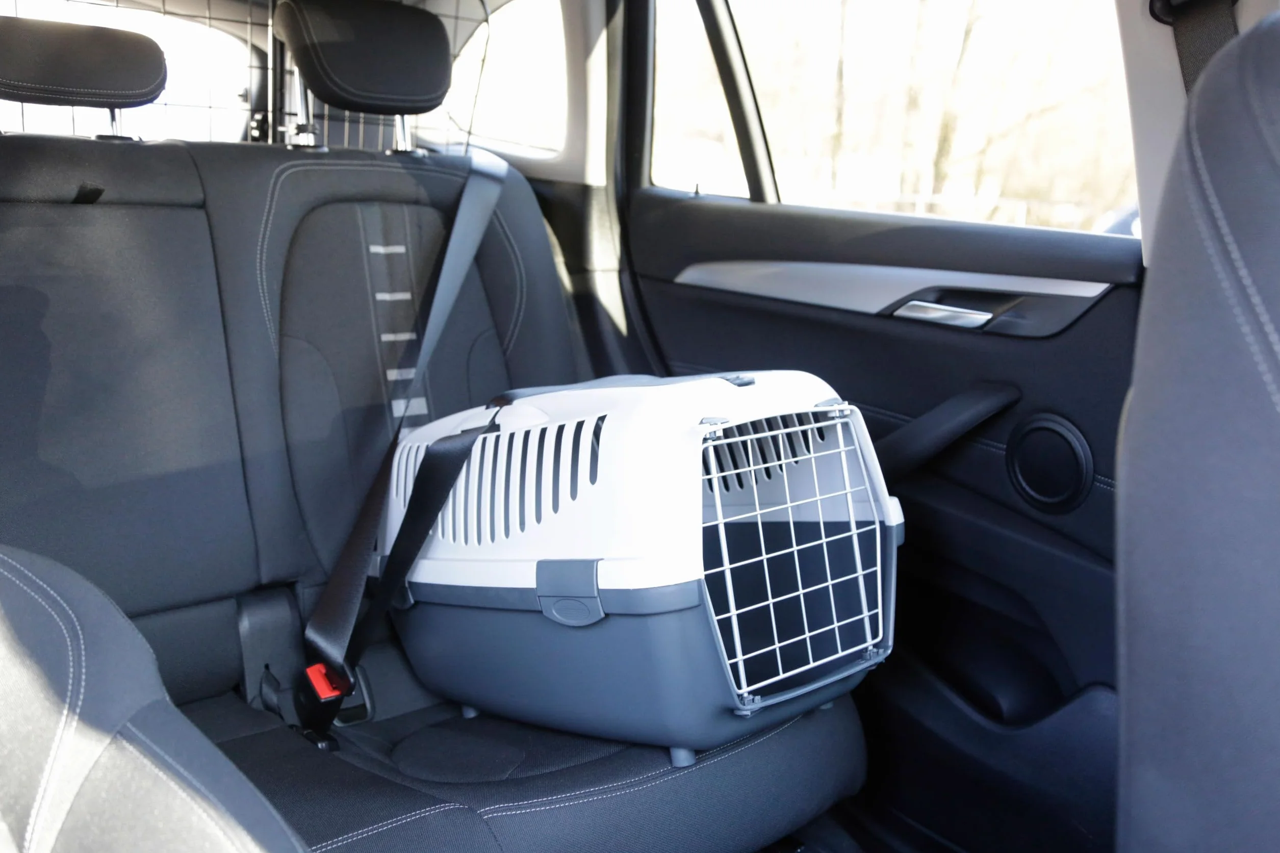 Kerbl Chien Box de Transport Gulliver 55x36x35 cm Gris
