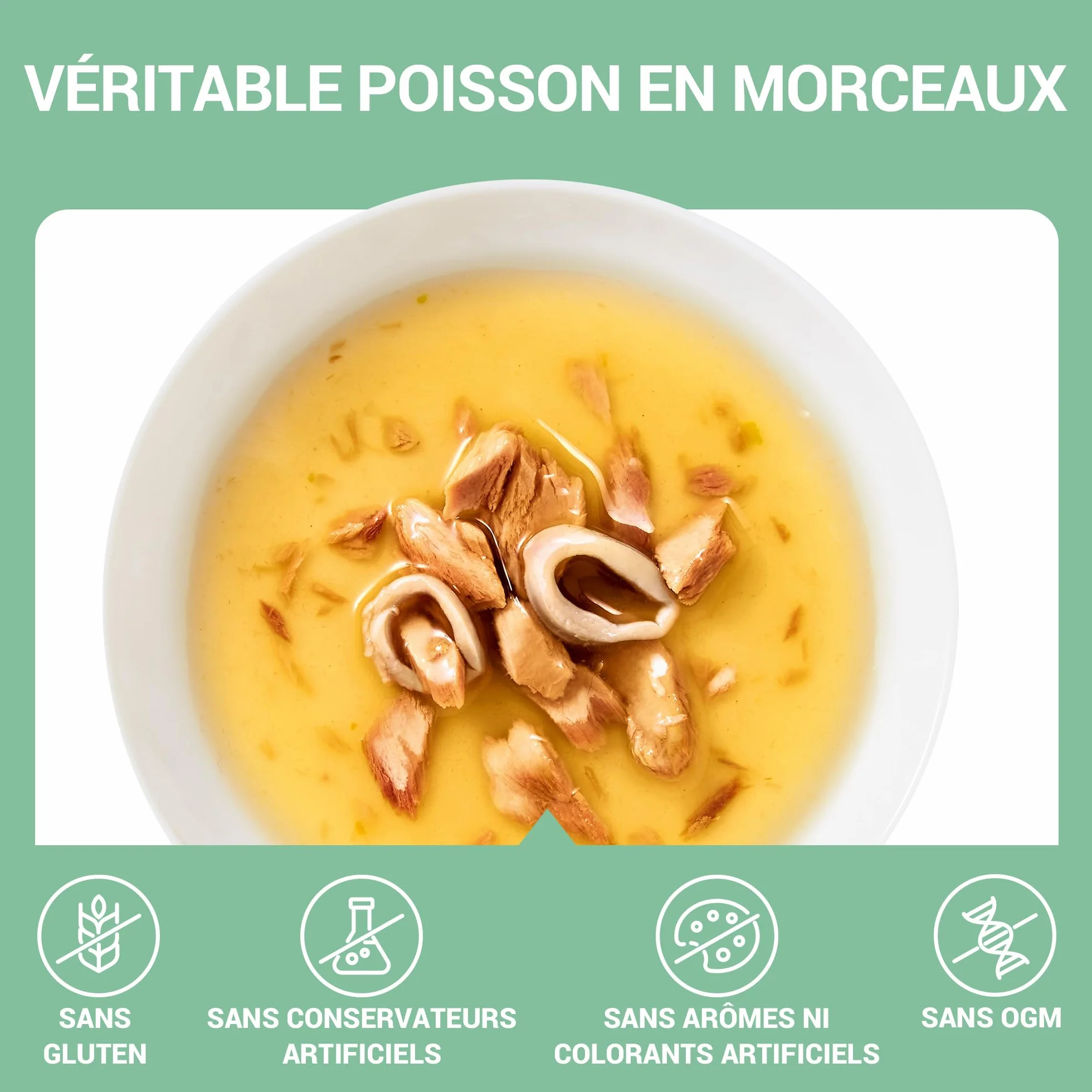 Schesir Filets de Thon et calmar Nourriture Humide pour Chats 12 sachets 40 g