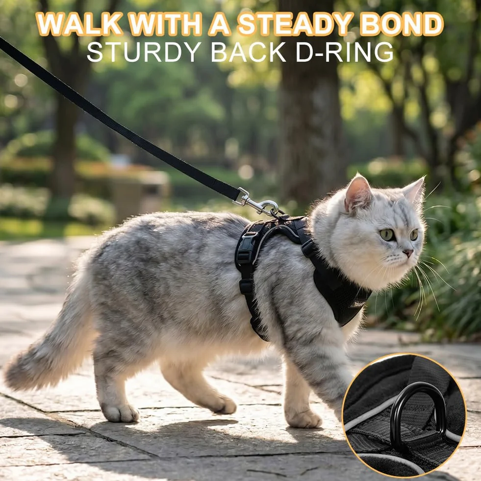 Aolso Harnais pour Chat Anti-éclatement Filet Respirant Réglable Réfléchissant Laisse 150cm Noir Taille M