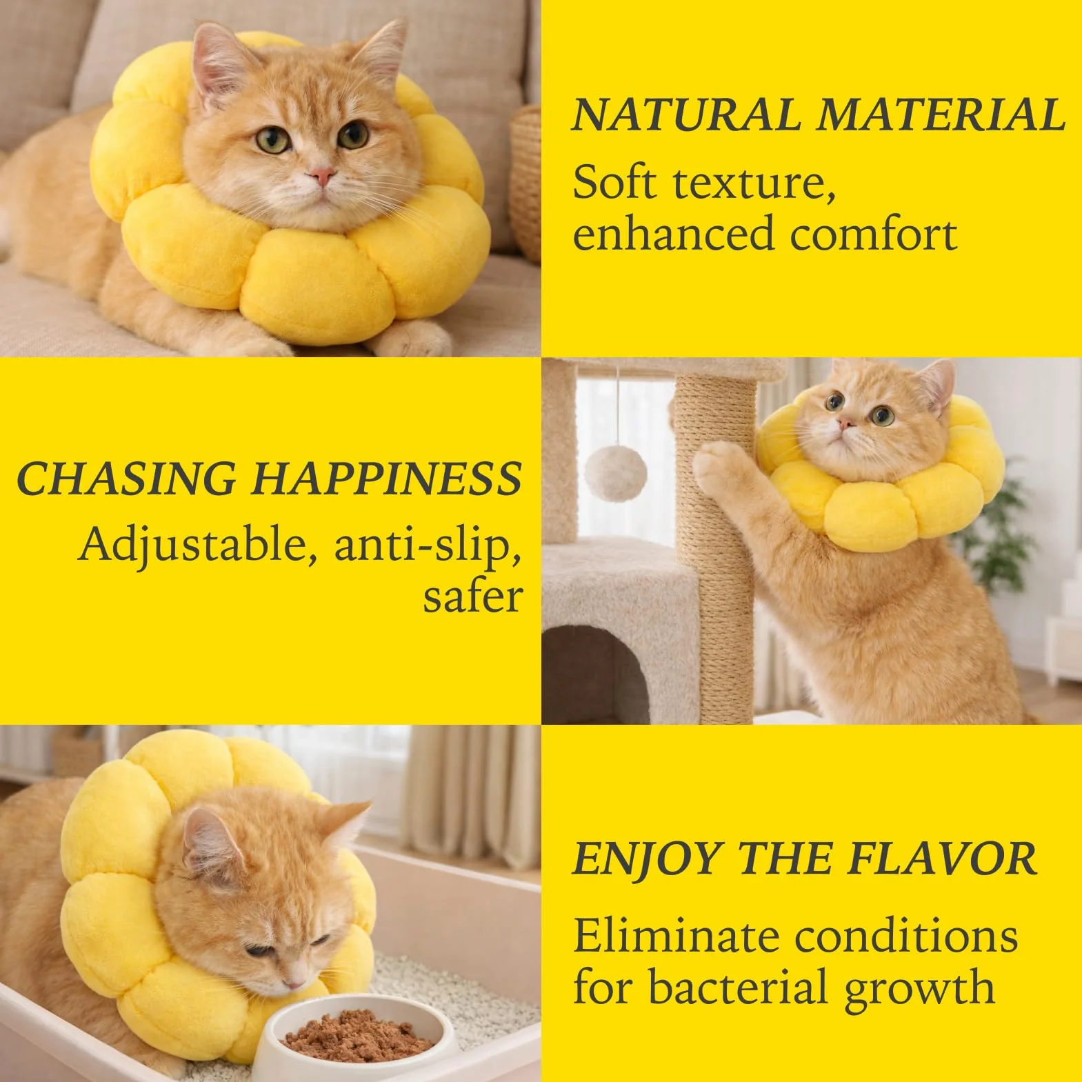 Collerette Anti-Léchage pour Chat Forme Tournesol Kit Décoration Élisabéthaine Réglable Confortable