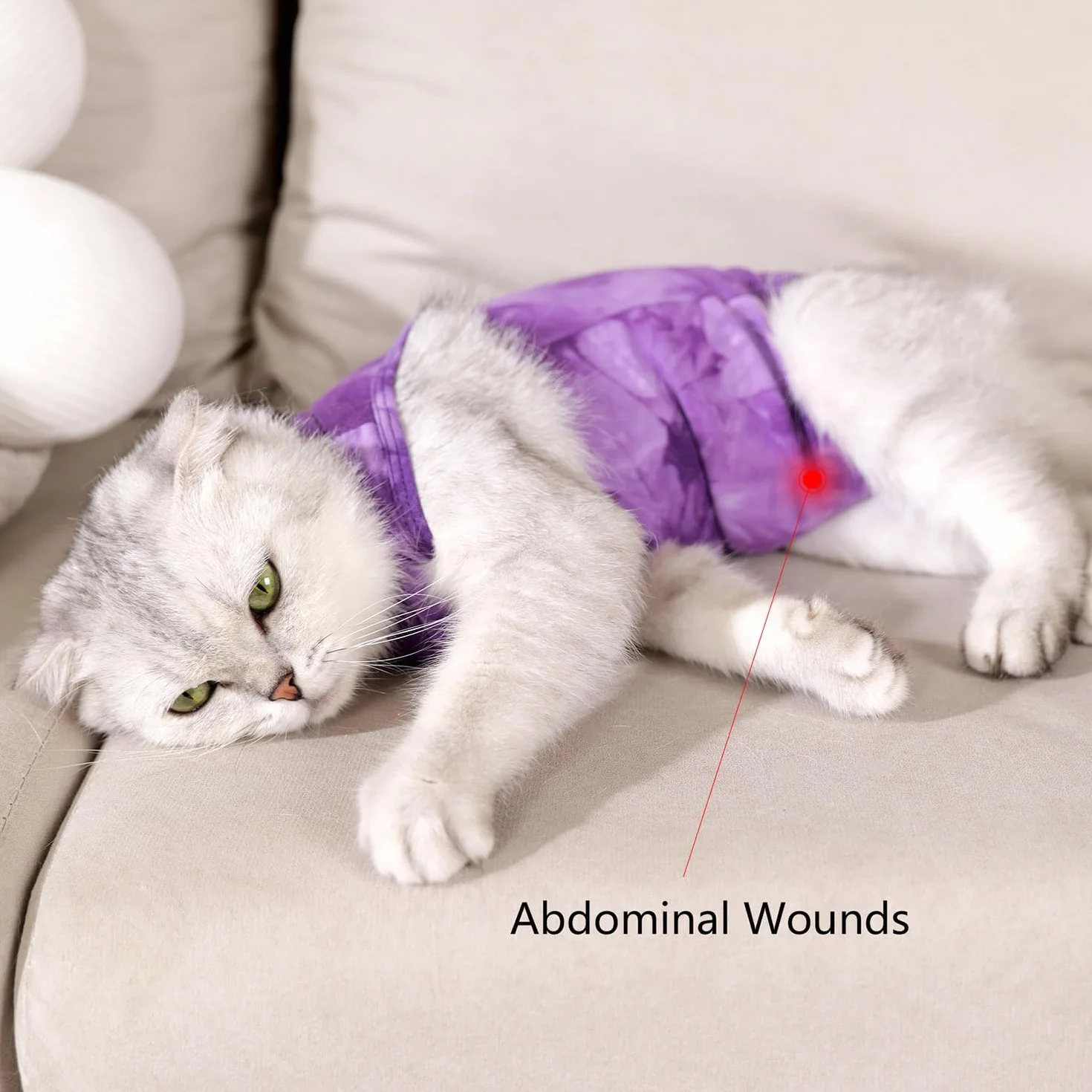 Combinaison Anti Léchage pour Chat Femelle Mâle après Stérilisation - Alternative au Collier de Récupération