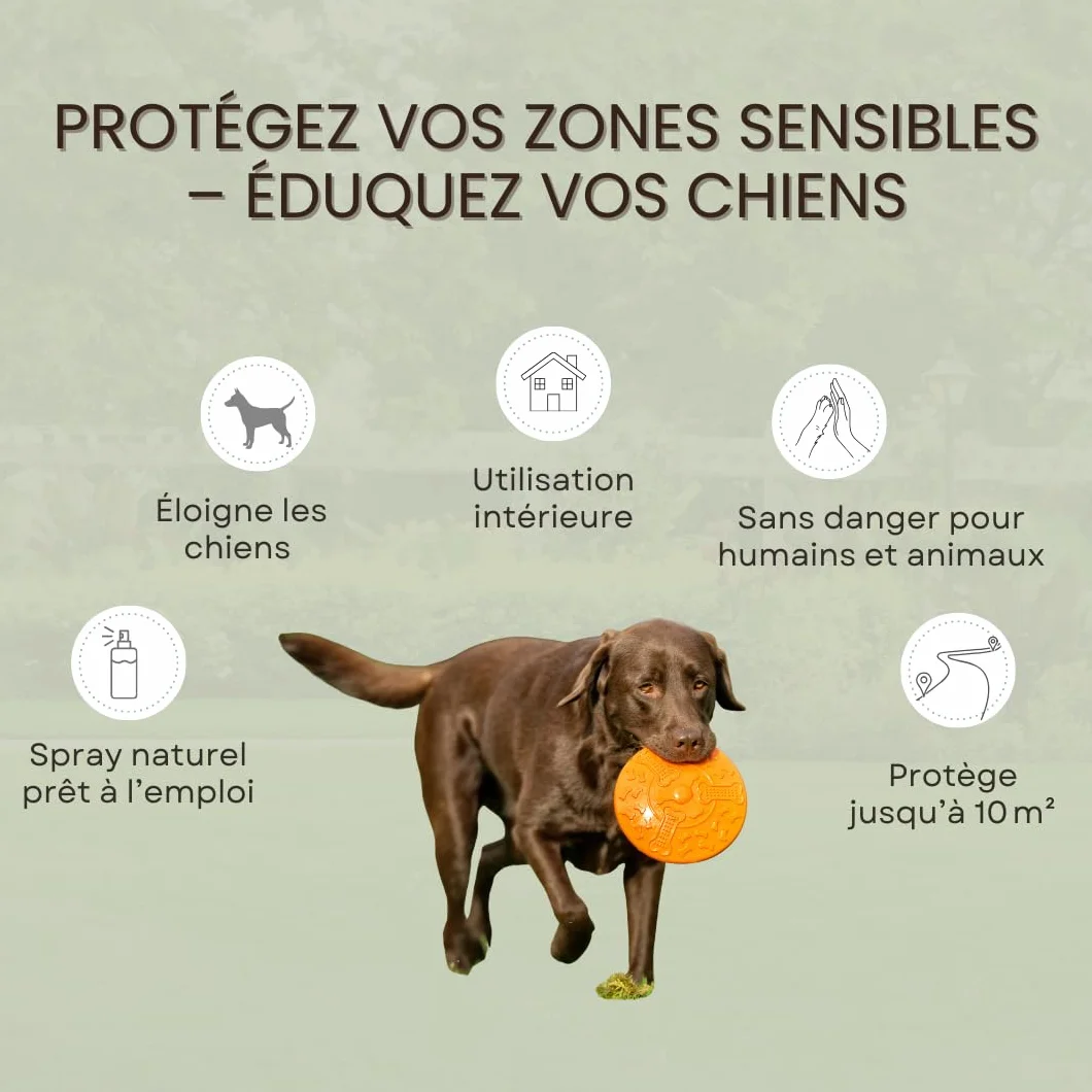 Répulsif Chiens Intérieur Spray Naturel 500 mL Protection 10 m²