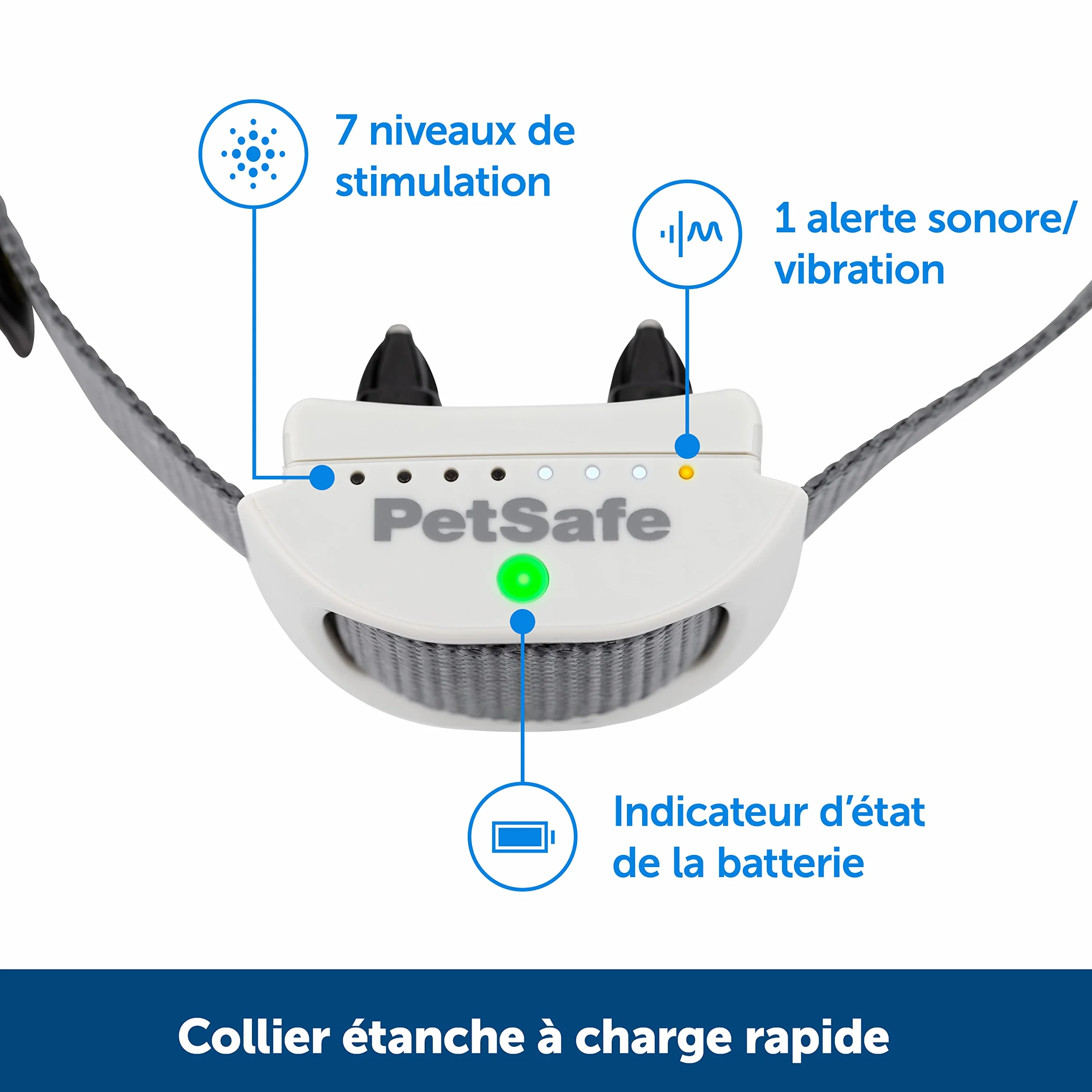 PetSafe Collier-récepteur Rechargeable pour clôture Anti-Fugue Classique avec Fil - 7 Niveaux de Stimulation réglables pour Chiens et Chats dès 2,3 kg
