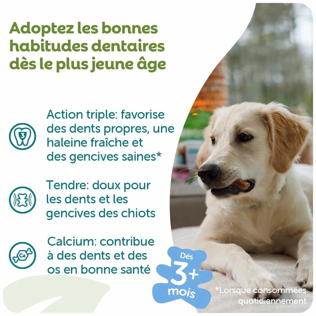 WHIMZEES Bâtonnets pour Chiots XS/S 28 Pièces Friandises Naturelles sans Céréale Végétariennes