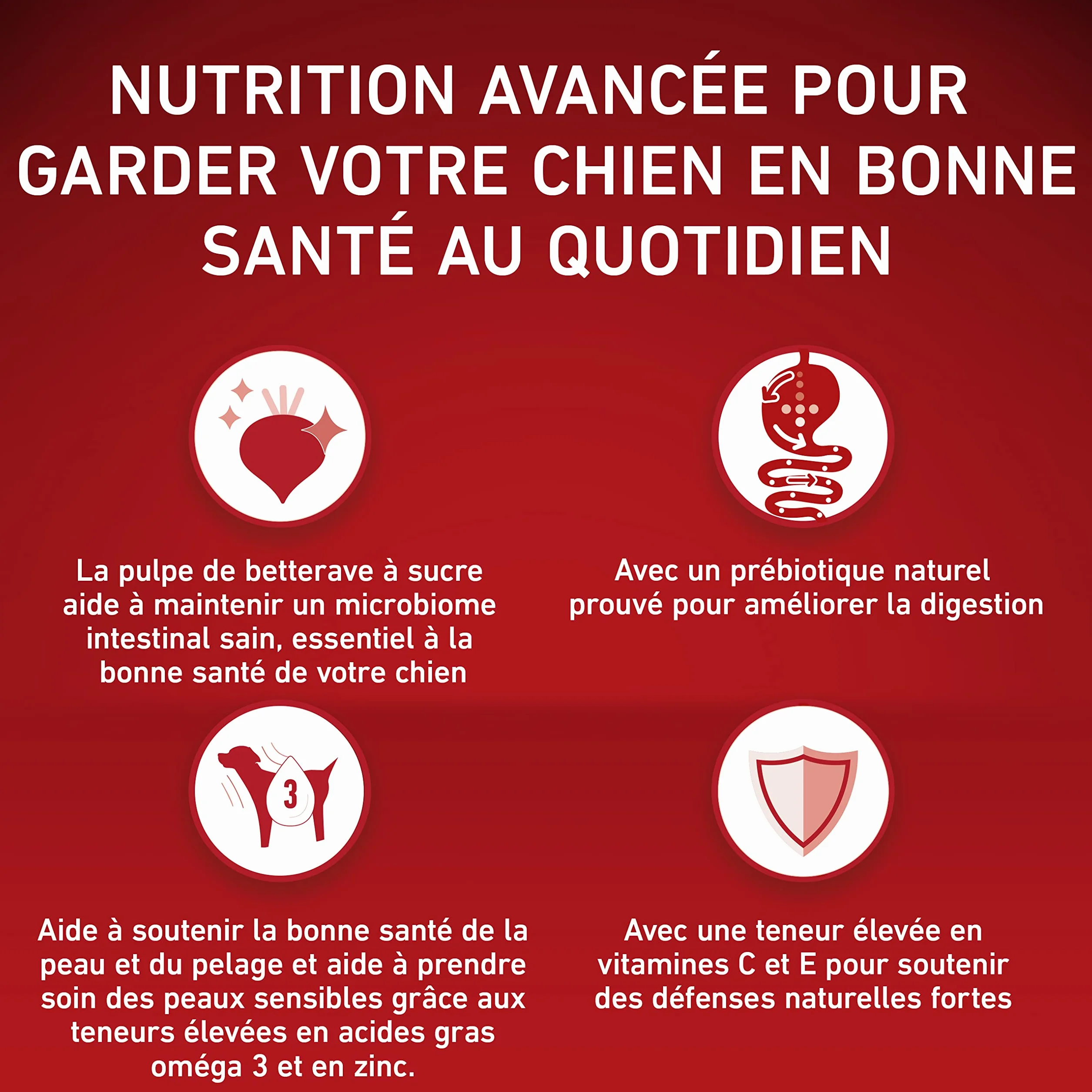 PURINA ONE Sensitive Croquettes Chien Adulte Saumon 2,5 kg