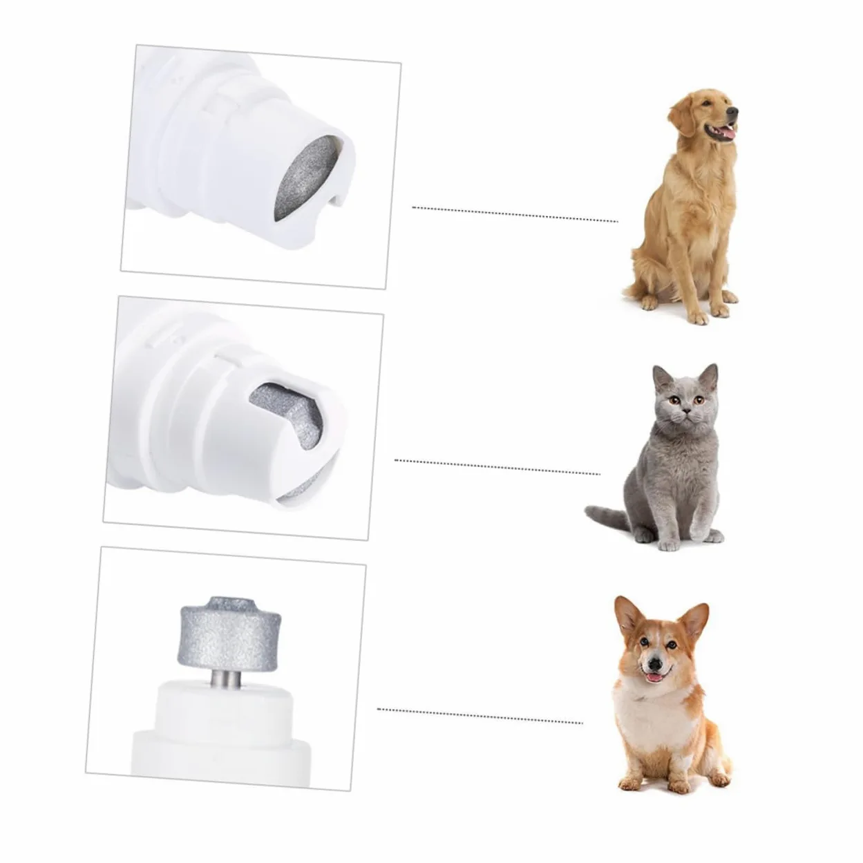 BESPORTBLE 3 Pièces broyeur de Chien électrique Coupe-Ongles Chien pour Grands Chiens broyeur d'ongles pour Animaux de Compagnie Coupe-Ongles électrique pour Animaux de Compagnie