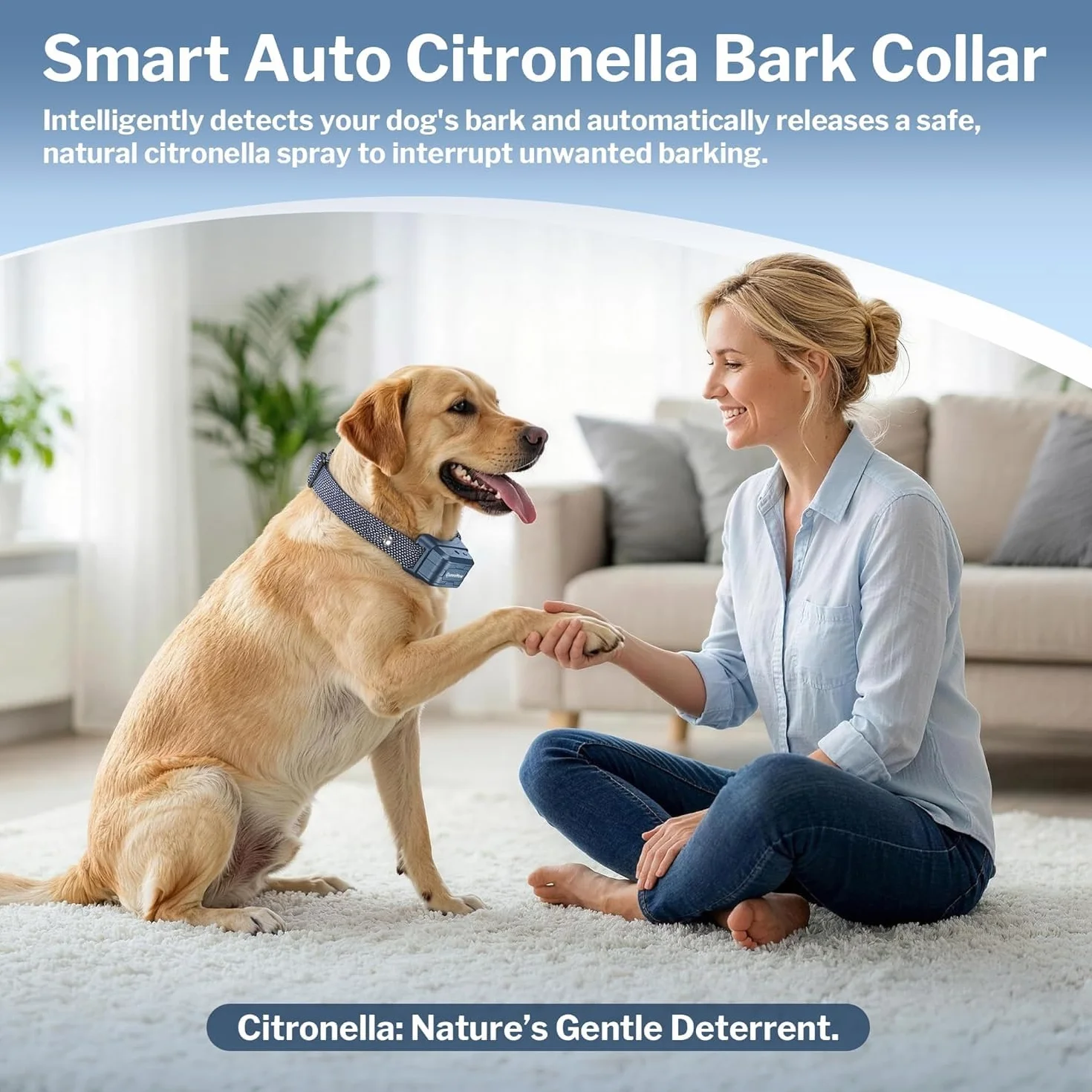 Collier Anti Aboiement Chien Citronnelle Spray, 2 Modes Réglables, Rechargeable Étanche