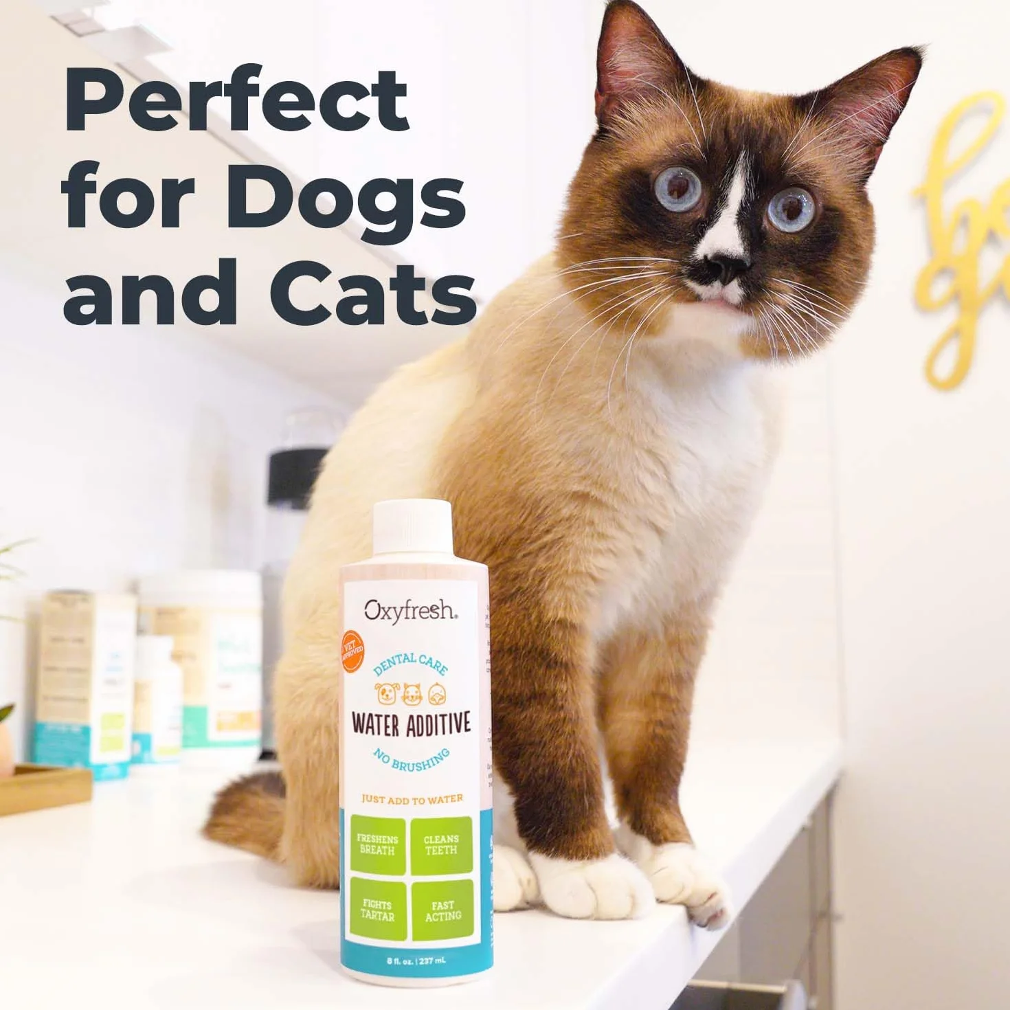 Oxyfresh Premium pour Animal Domestique Soin Dentaire Solution pour la Mauvaise haleine et Les Caries