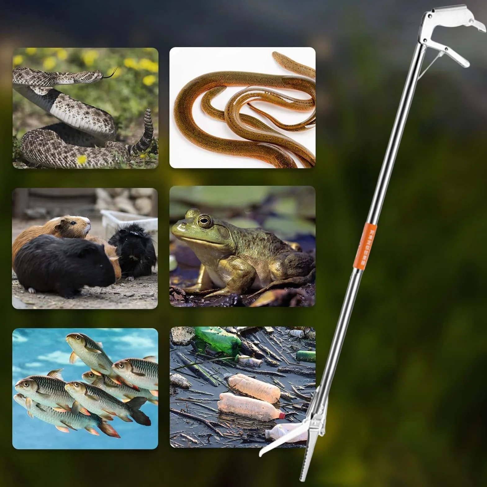 Pince télescopique pour reptiles – Outil de manipulation de serpent pliable