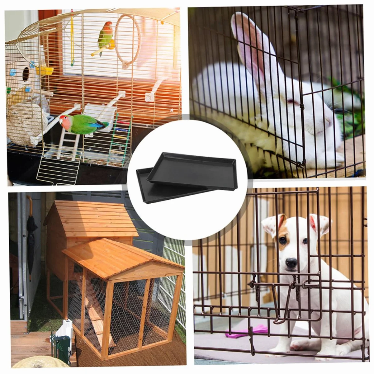 Plateau pour Cages Animaux Plateau Remplaçable pour Oiseaux Design Étanche