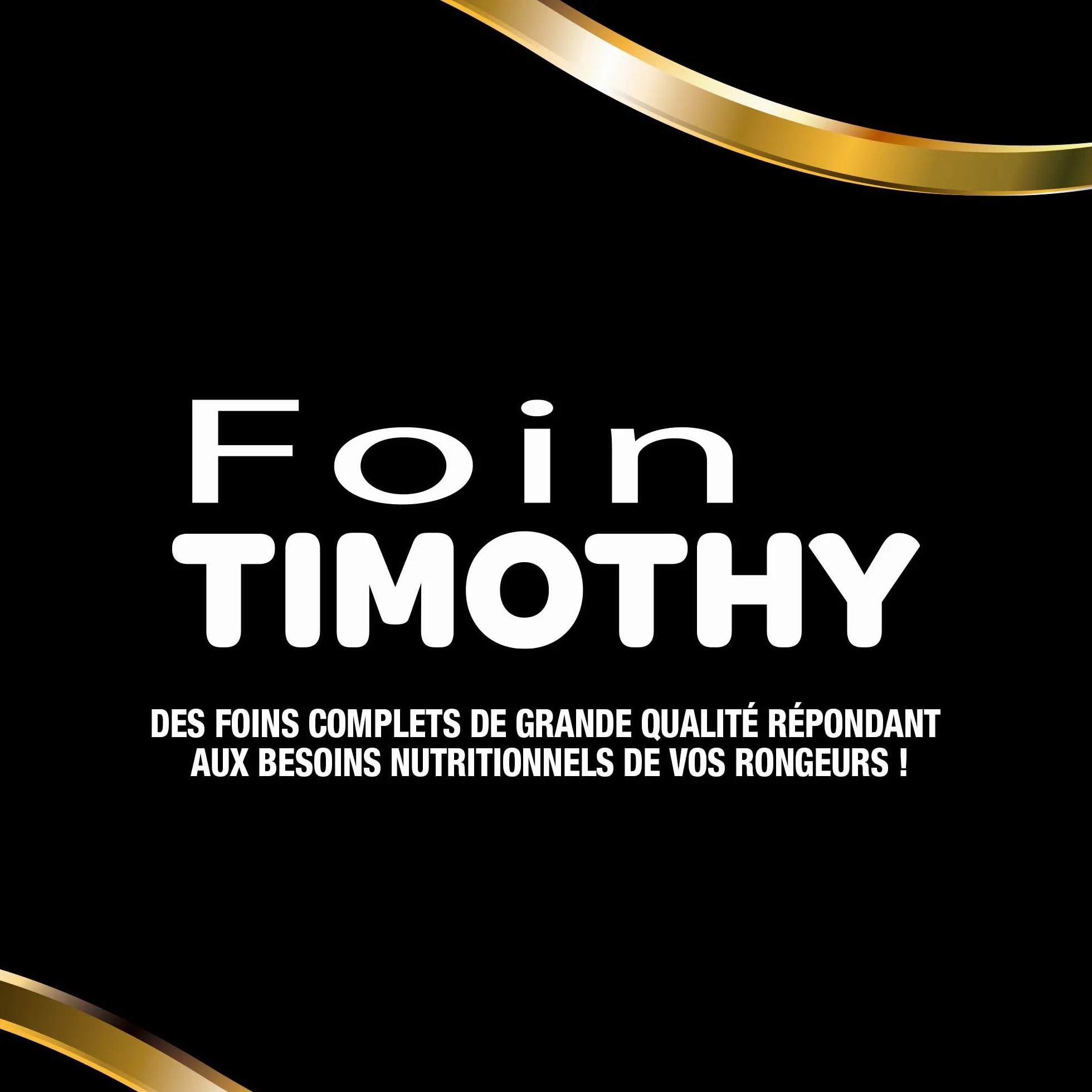Foin Premium Timothy à la Carotte pour Rongeurs 500 g