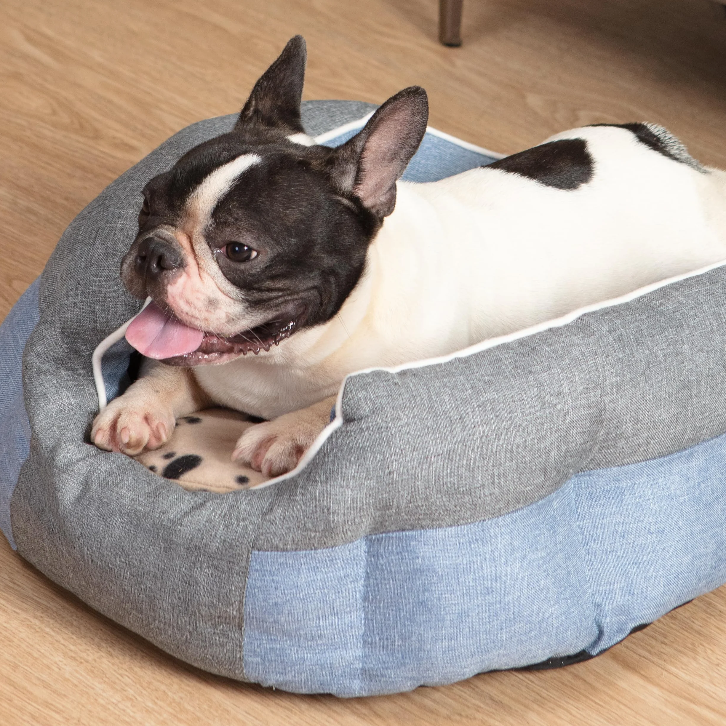 SnuggleSafe Coussin Chauffant Micro-Ondes pour Animaux - Disque Chauffant Résistant aux Morsures et à l’Eau - Jusqu’à 10 Heures de Chaleur