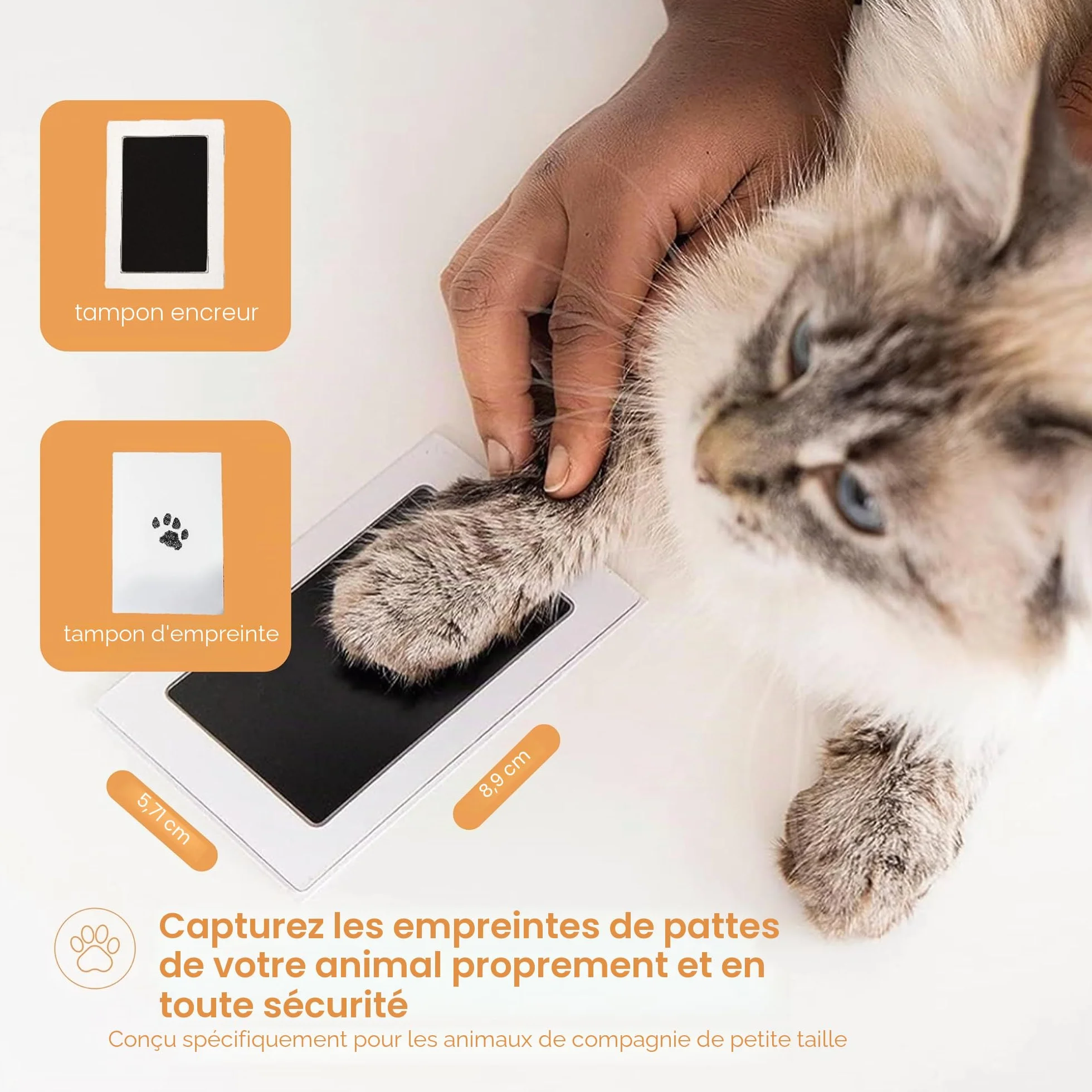 Pearhead Paw Print Clean Touch Ink Pad Kit for Dogs and Cats, Pet Keepsake