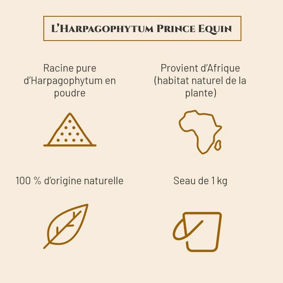 HARPAGOPHYTUM Complément nutritionnel Cheval 1 kg Mobilité articulations Marque française