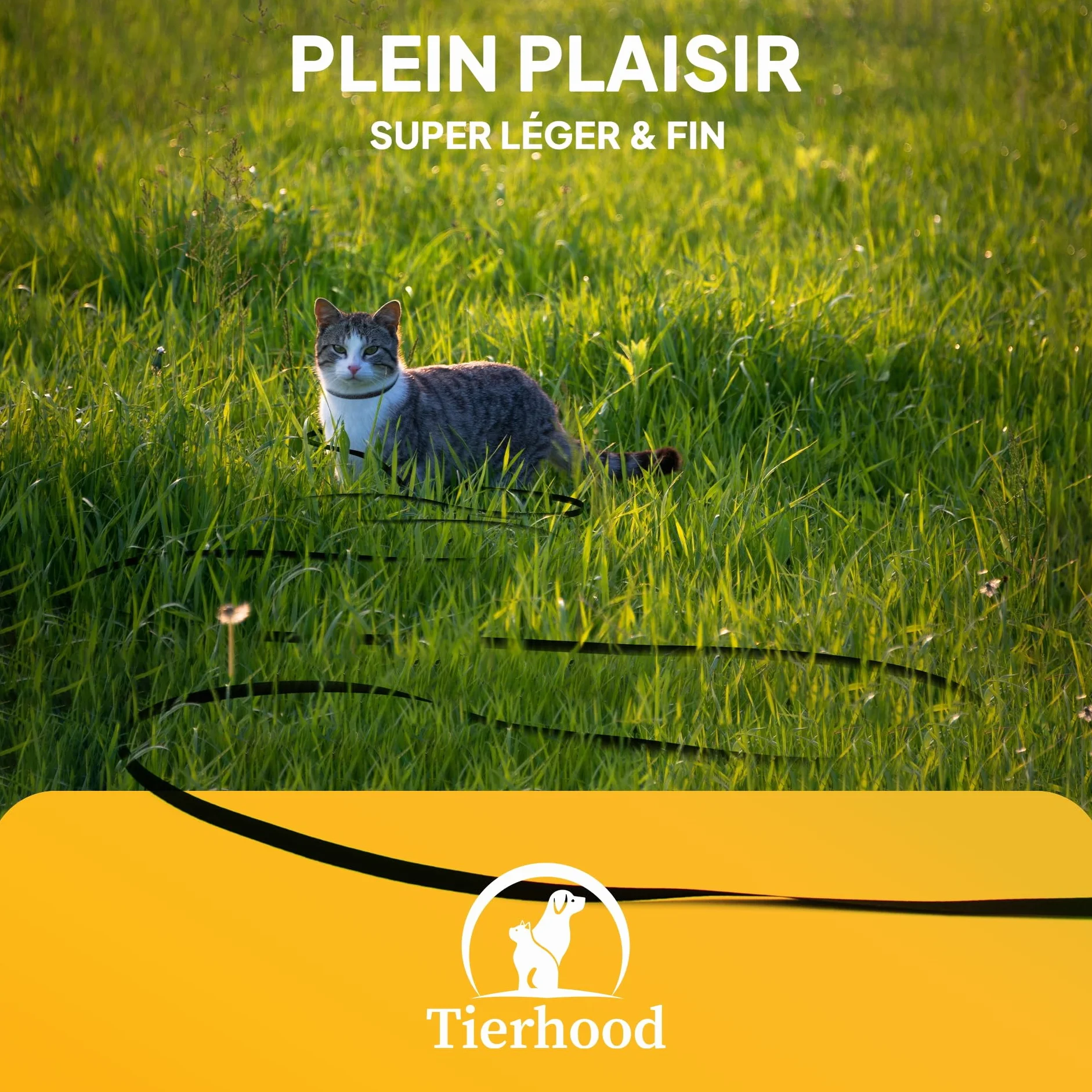 Tierhood Laisse d’extérieur pour Chat 10m Grande Laisse légère
