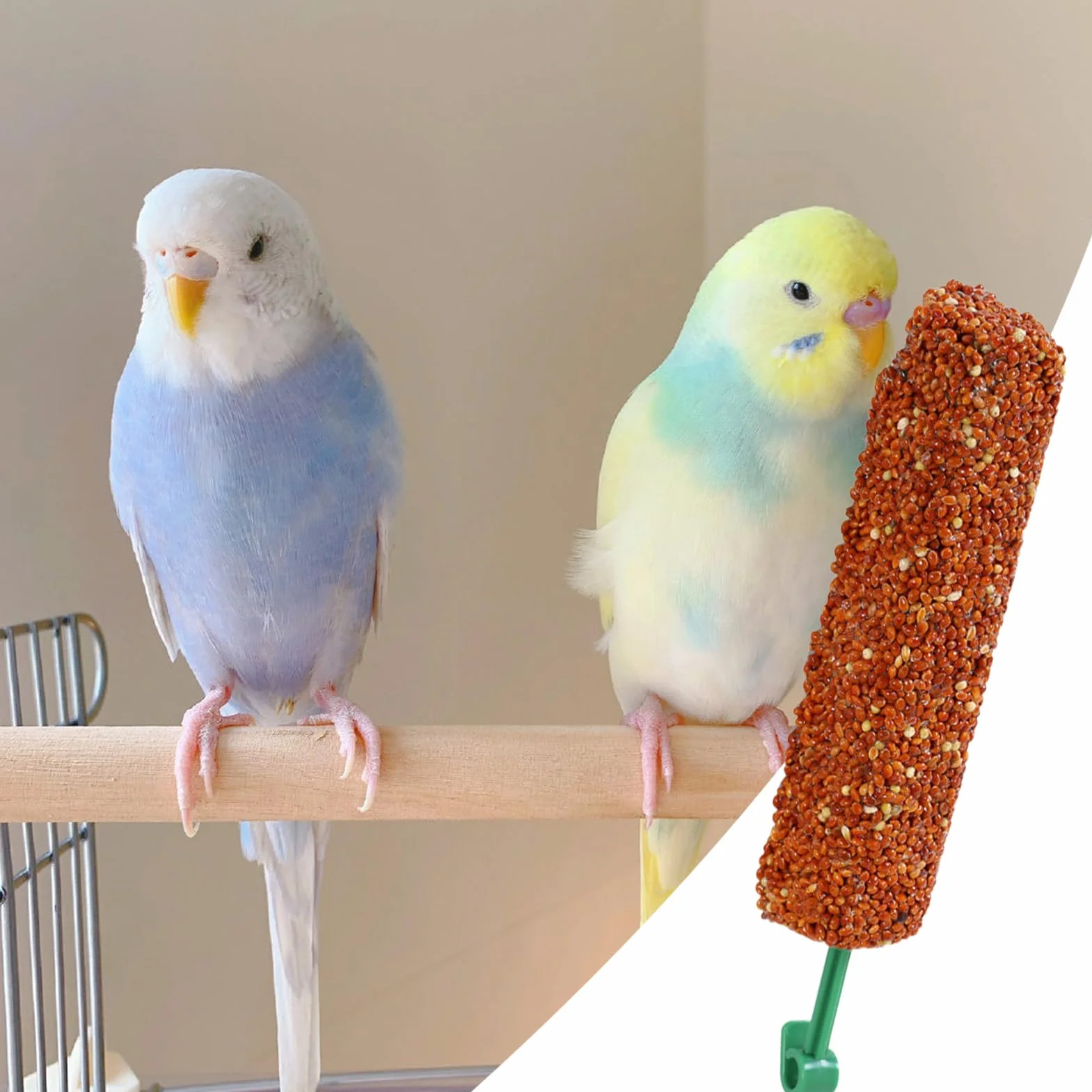 Bâtonnets Gourmands pour Perruches 2 Pièces Jouet Friandise Oiseaux Domestiques Récompenses Éducatives Perruche Calopsitte Canari Perroquet Conure Mainate