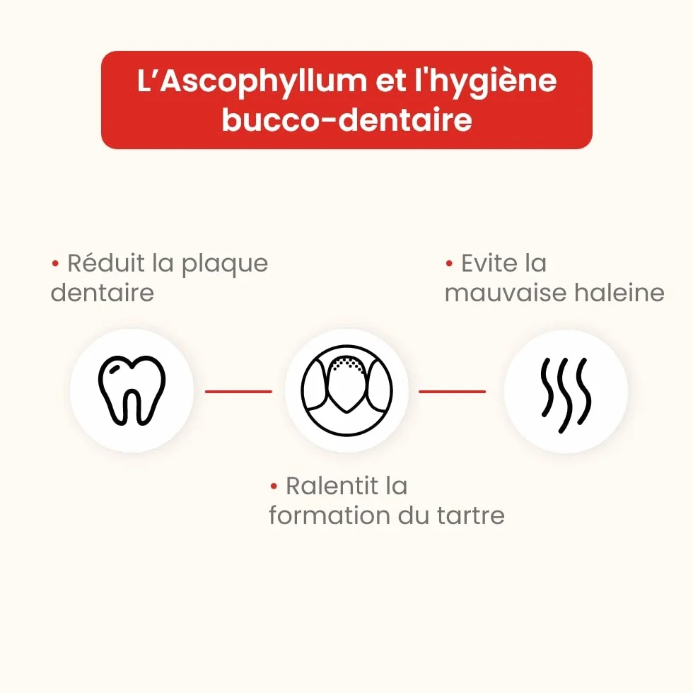 Ascophyllum nodosum en Poudre pour Chiens et Chats - Hygiène bucco-Dentaire - Pot 100 g - Développé en France