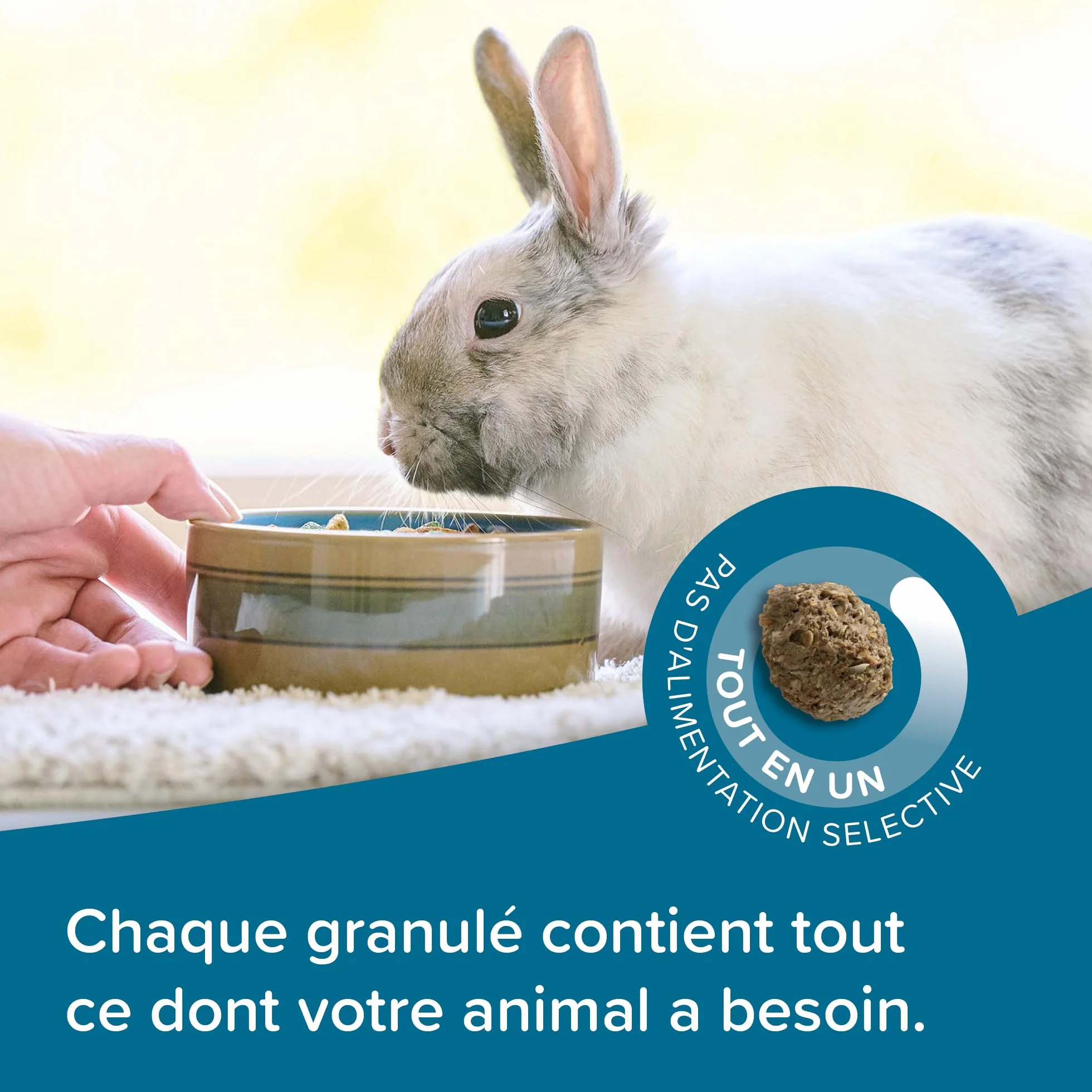 BEAPHAR Care+ Alimentation Super Premium Lapin sénior 25% Fibres Oméga 3 & 6 Faible Glucides Matières Grasses 1,5 kg