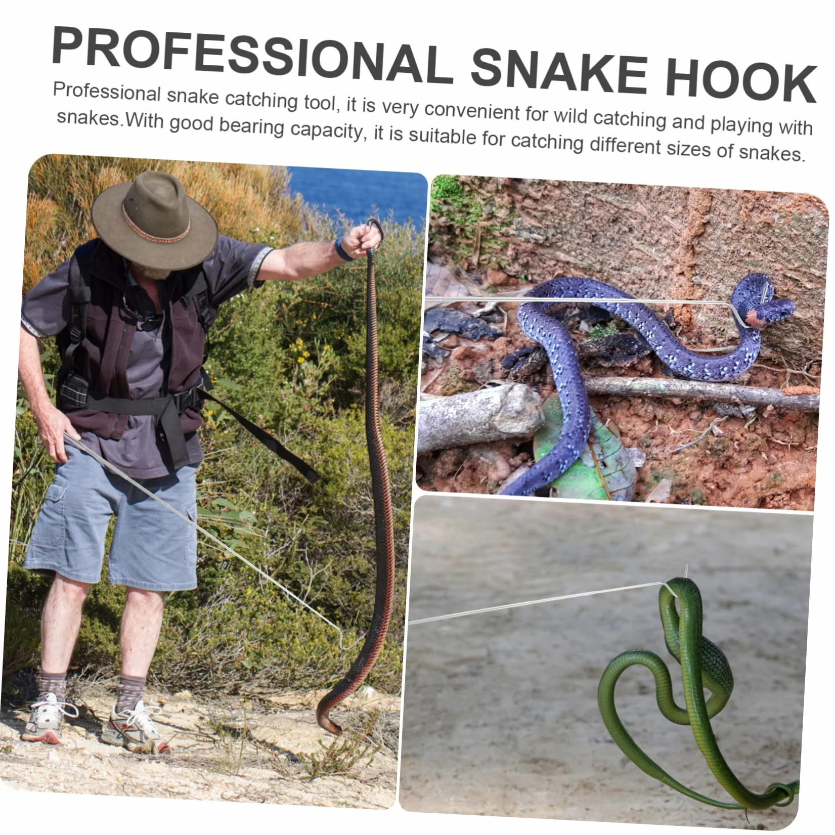 Crochet Rétractable pour Reptiles en Acier Inoxydable Attrape-Serpents Pliable Outil de Capture Longueur Réglable
