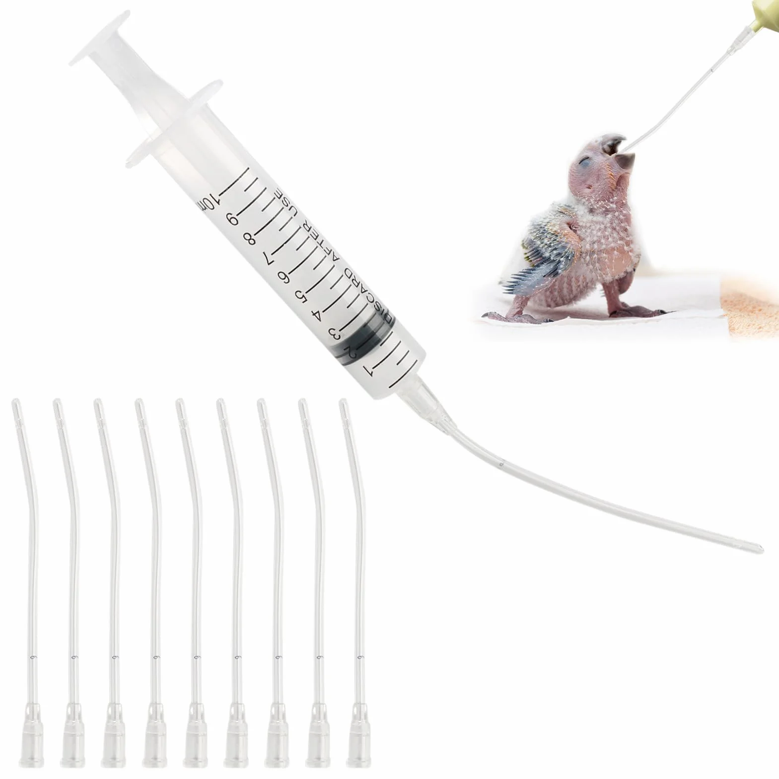 Sondes d'alimentation pour Oisillons, Seringue 10 ML, Bébé Oiseau, Tortue