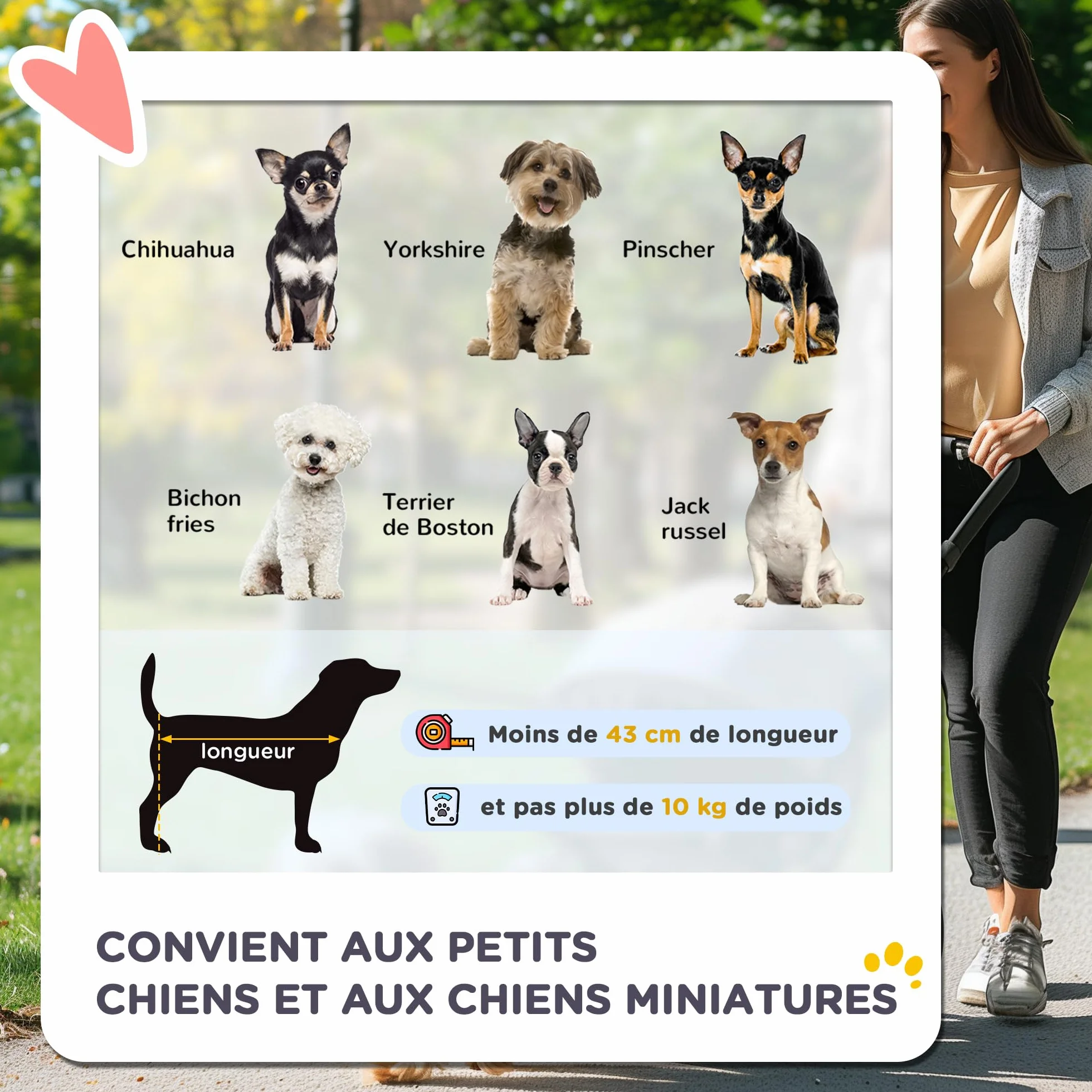 PawHut Poussette pour chien animaux de compagnie pliable avec 4 roues EVA guidon réglable panier et pochette de rangement - 76,5 x 52 x 95 cm gris