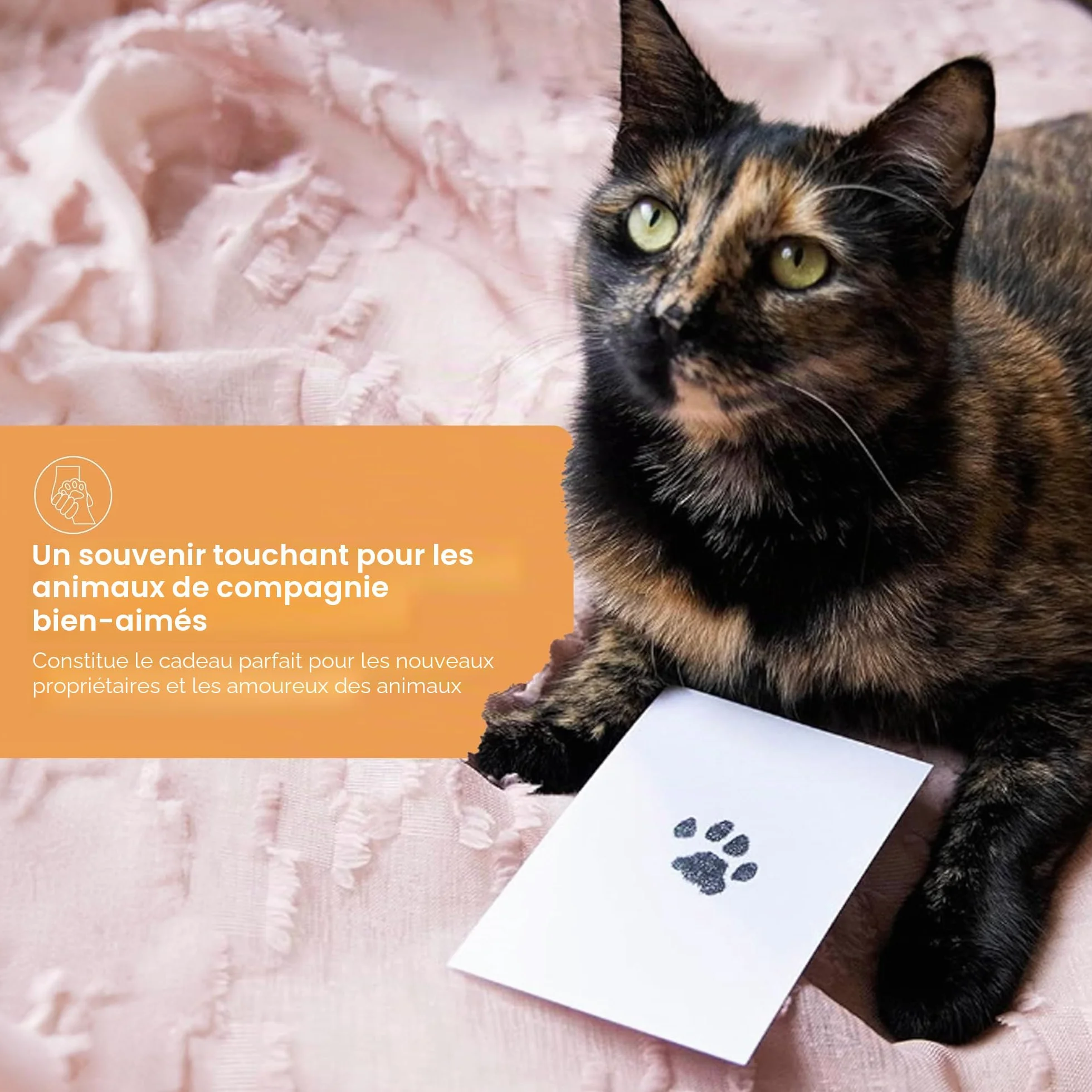 Pearhead Paw Print Clean Touch Ink Pad Kit for Dogs and Cats, Pet Keepsake