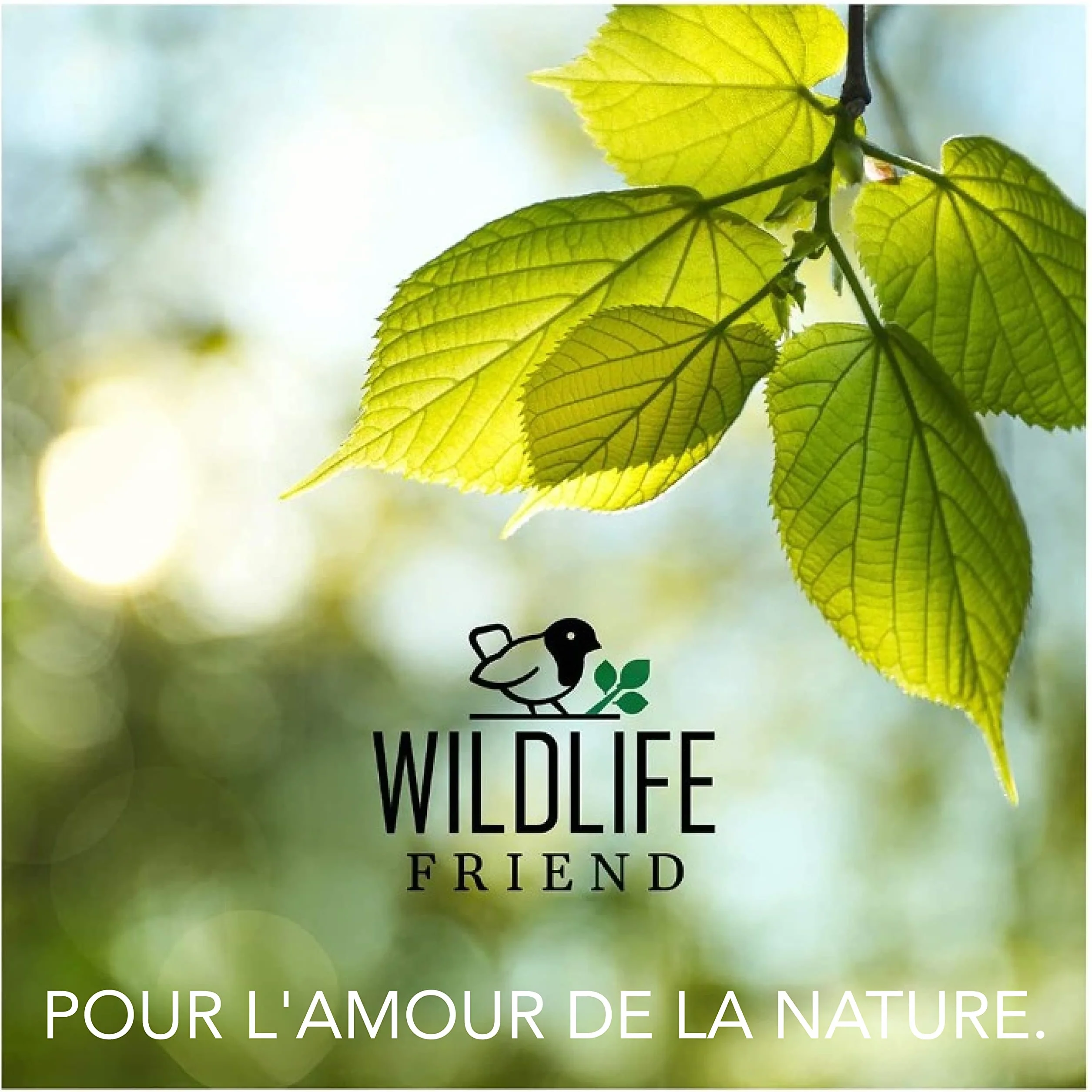 Abreuvoir Oiseaux Exterieur sur Pied Résistant aux Intempéries Bain Mangeoire Oiseaux Sauvage Jardin Forme Feuille