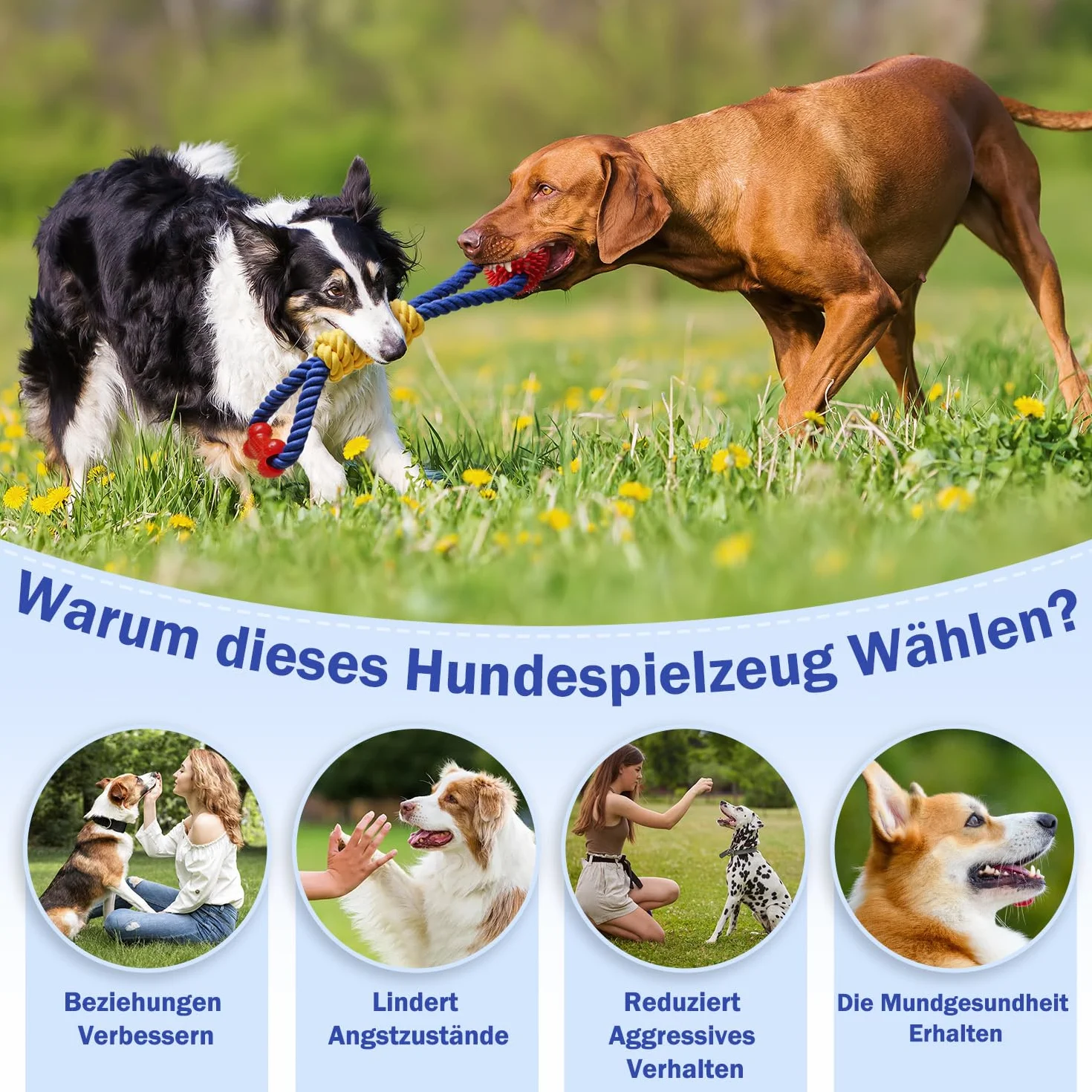 Aitmexcn Jouet Chien Indestructible 43 cm – Corde et Balle à Mâcher en Coton, Jouet Interactif pour Petits et Moyens Chiens, Nettoyage Dentaire et Anti Ennui