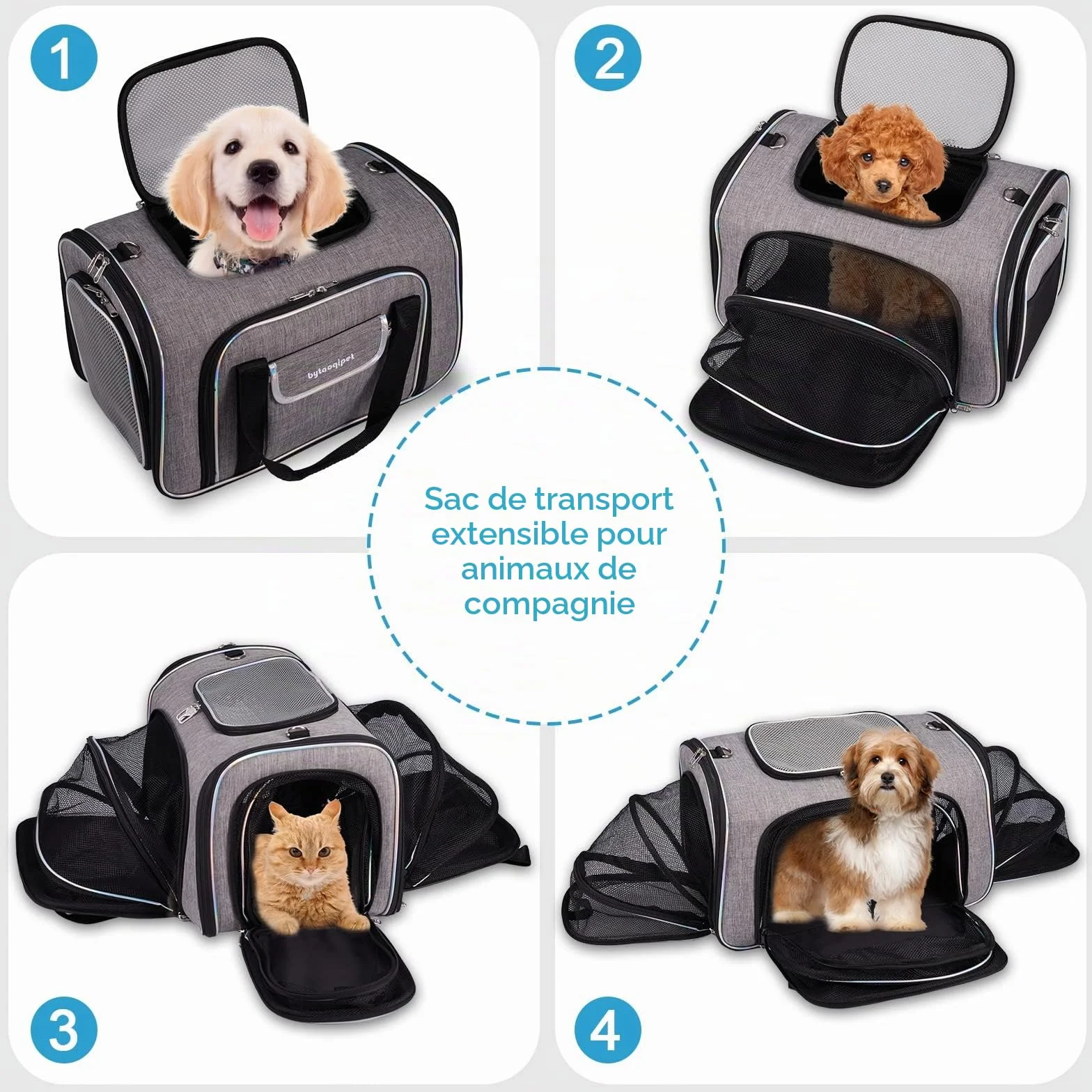 Sac de Transport pour Chat Extensible 4 Côtés, Approuvé Compagnie Aérienne, 45x28x28cm, Pliant