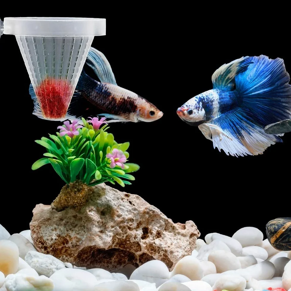 DONGKER Aquarium Cone Feeder avec Ventouse pour Poissons