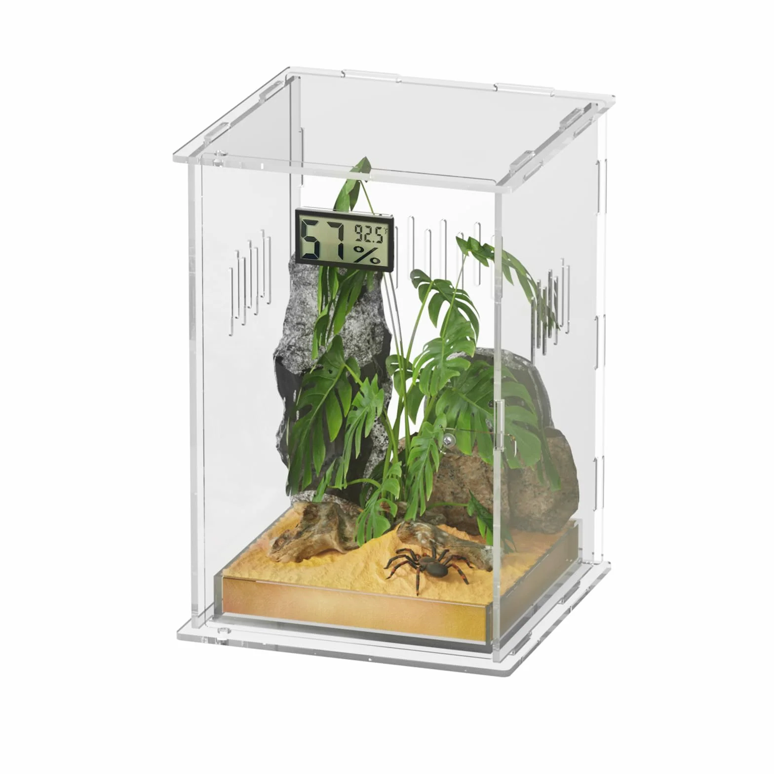 Terrarium pour Reptiles avec Hygromètre, 15x15x25cm Boîte d'Élevage Acrylique pour Reptiles Insectes