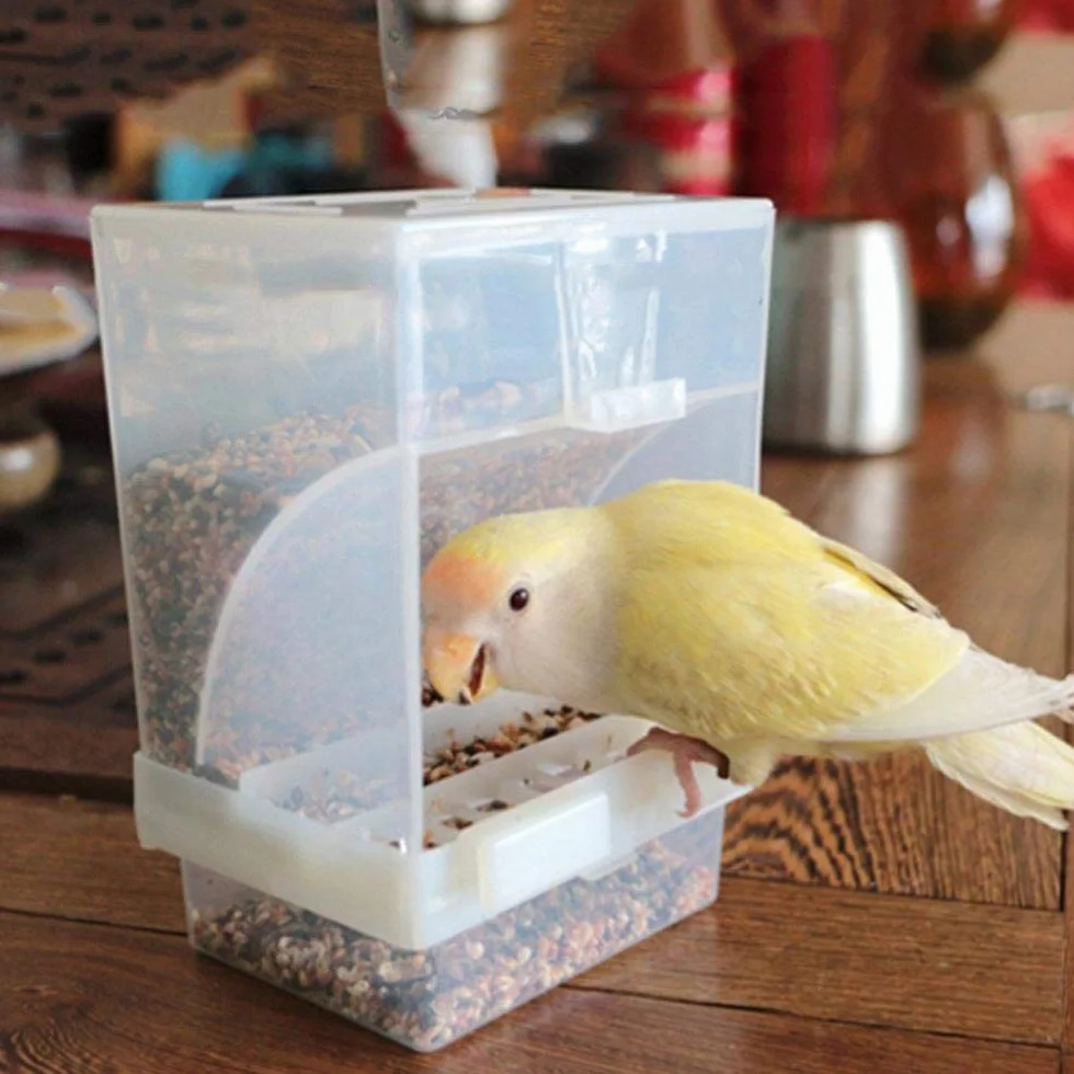 Mangeoire Automatique pour Oiseaux Distributeur de Graines Bol Jouet pour Perruches, Conures, Aras, Canari, 1 Pièce