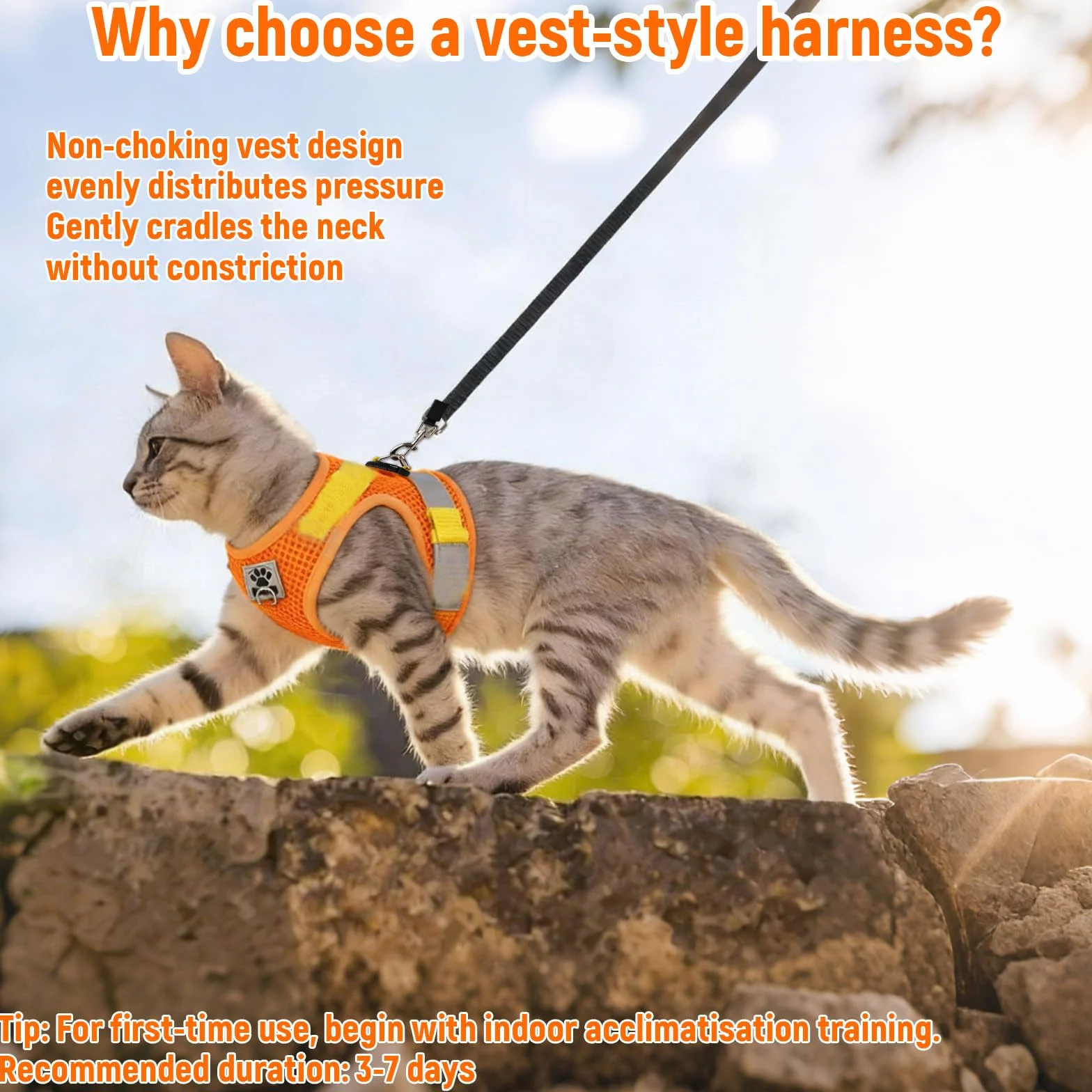 Harnais Chat Anti Évasion avec Laisse, Bandes Réfléchissantes, Laisse Automatique 5m, Réglable (Orange-Jaune, Taille M)